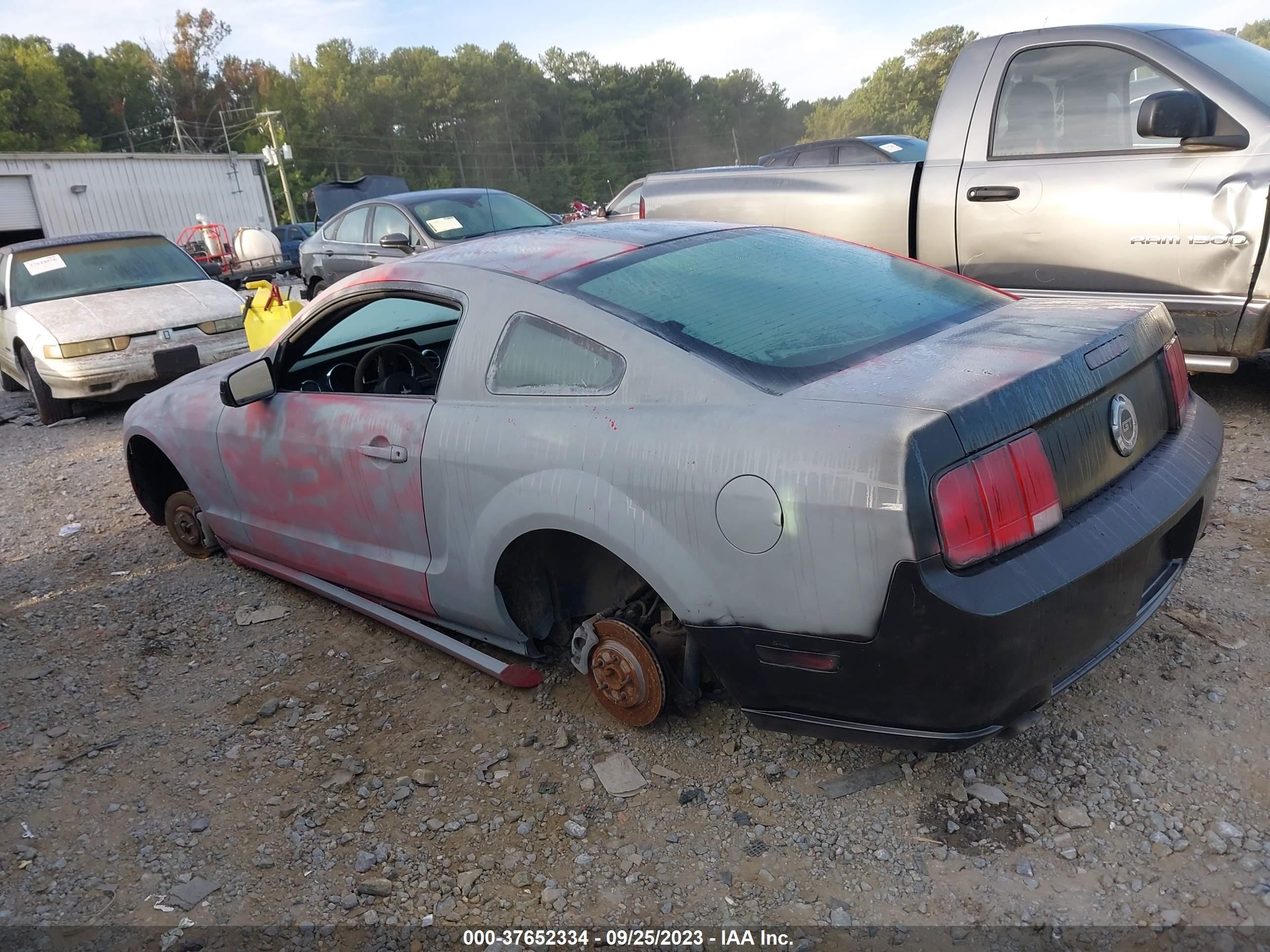 Photo 2 VIN: 1ZVFT82H255132803 - FORD MUSTANG 