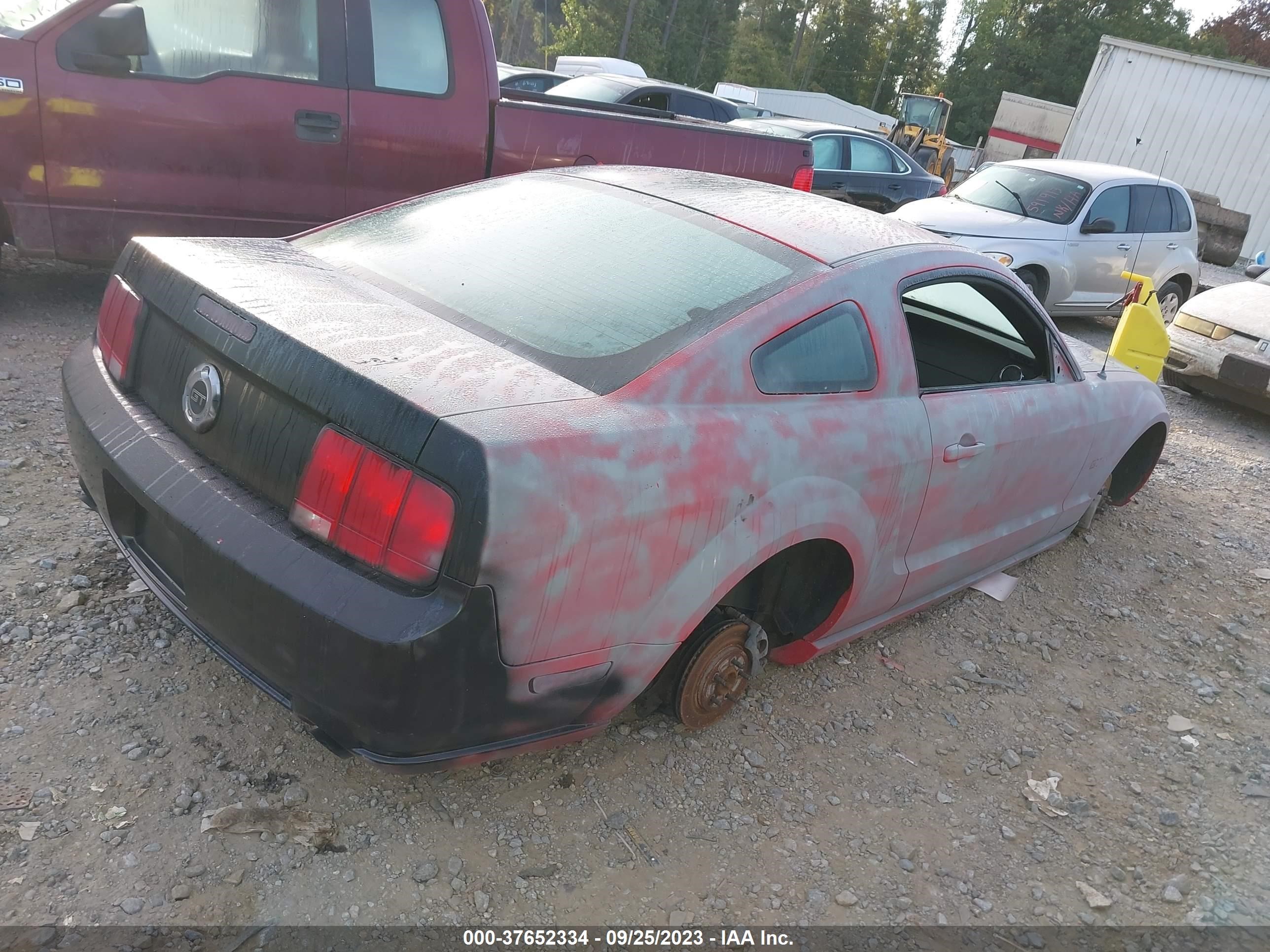 Photo 3 VIN: 1ZVFT82H255132803 - FORD MUSTANG 