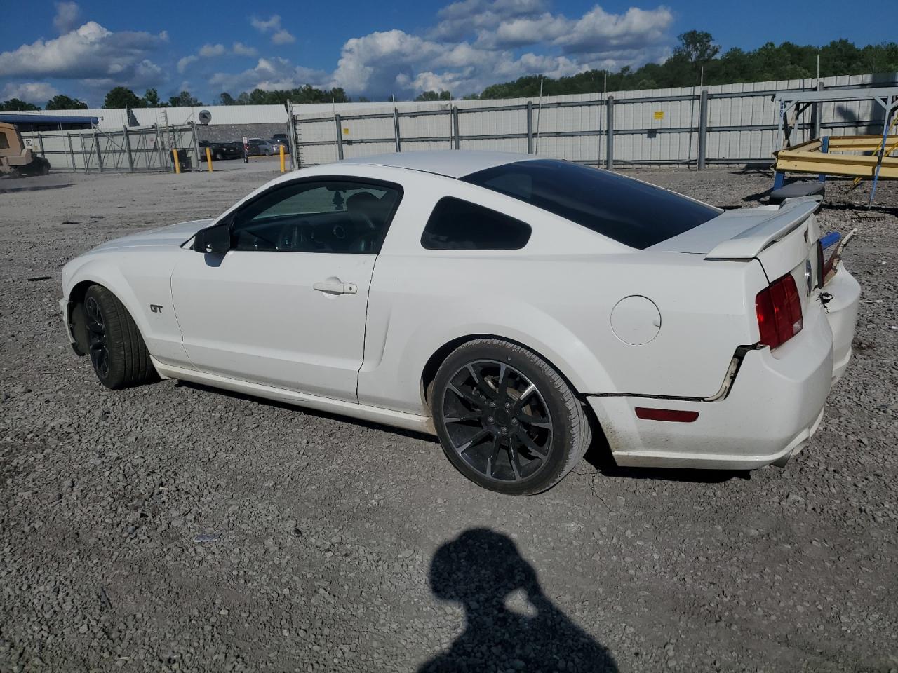 Photo 1 VIN: 1ZVFT82H265229825 - FORD MUSTANG 