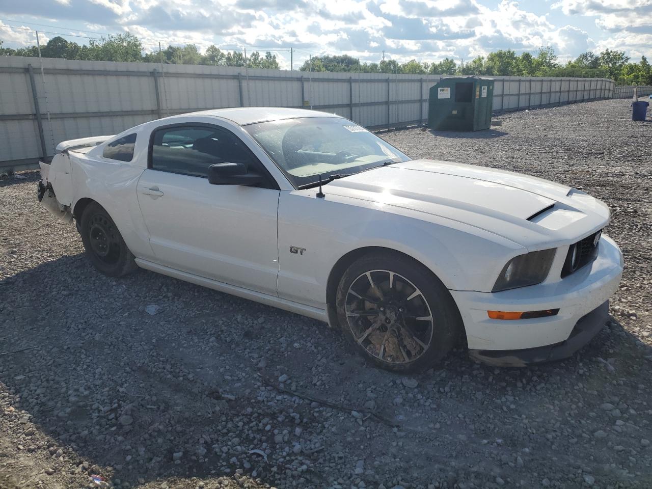 Photo 3 VIN: 1ZVFT82H265229825 - FORD MUSTANG 