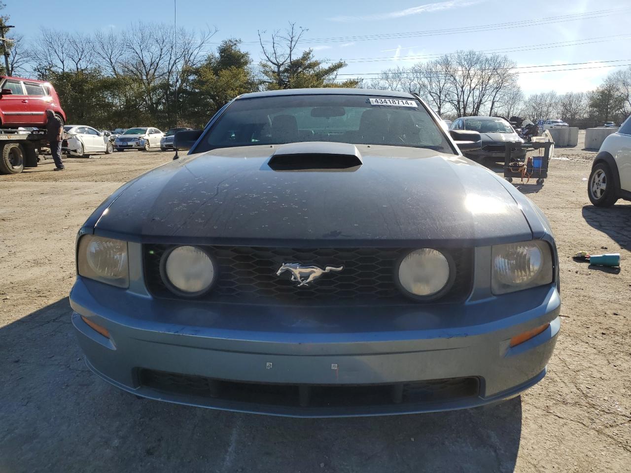 Photo 4 VIN: 1ZVFT82H275202786 - FORD MUSTANG 