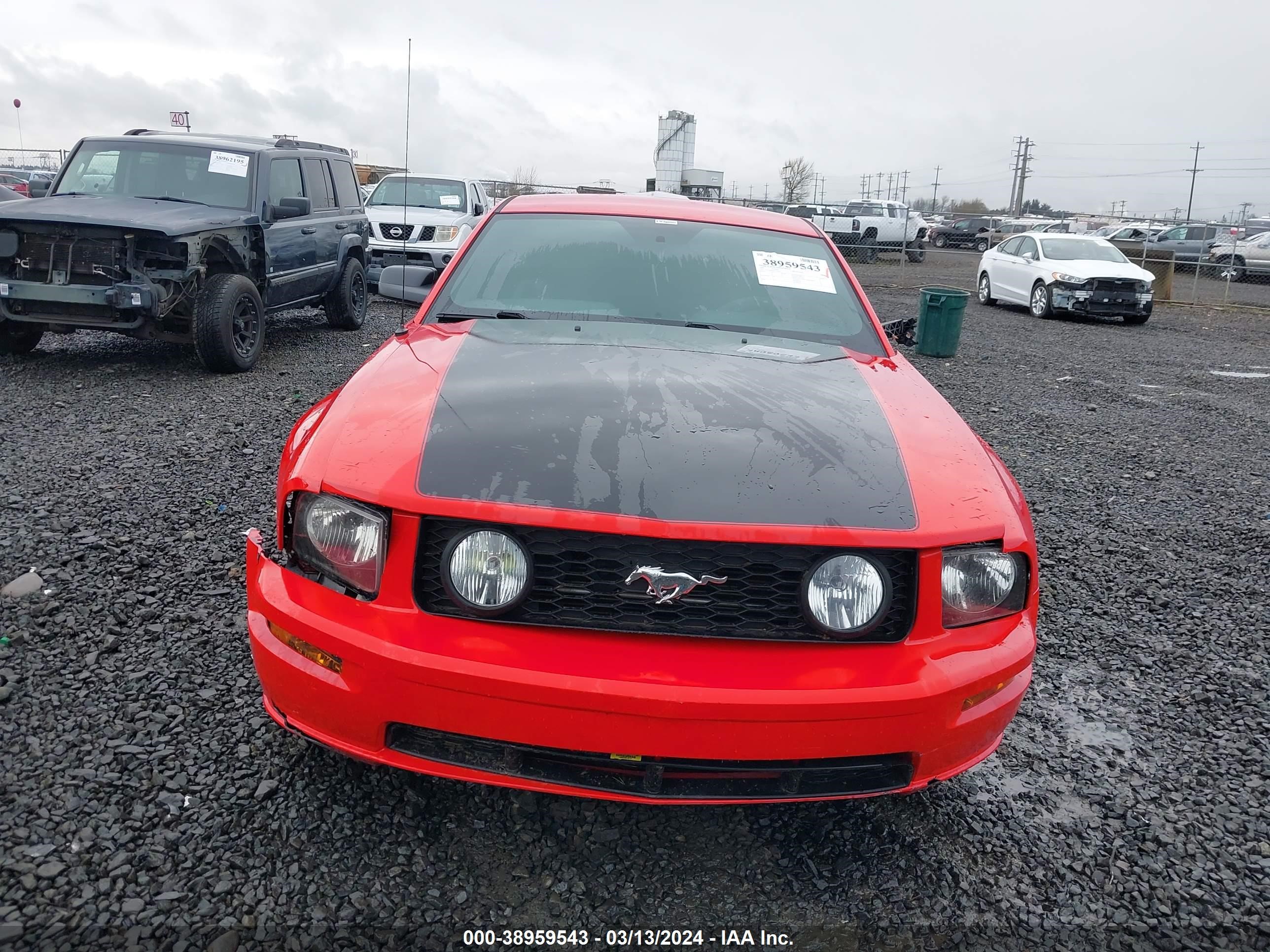 Photo 12 VIN: 1ZVFT82H355133264 - FORD MUSTANG 