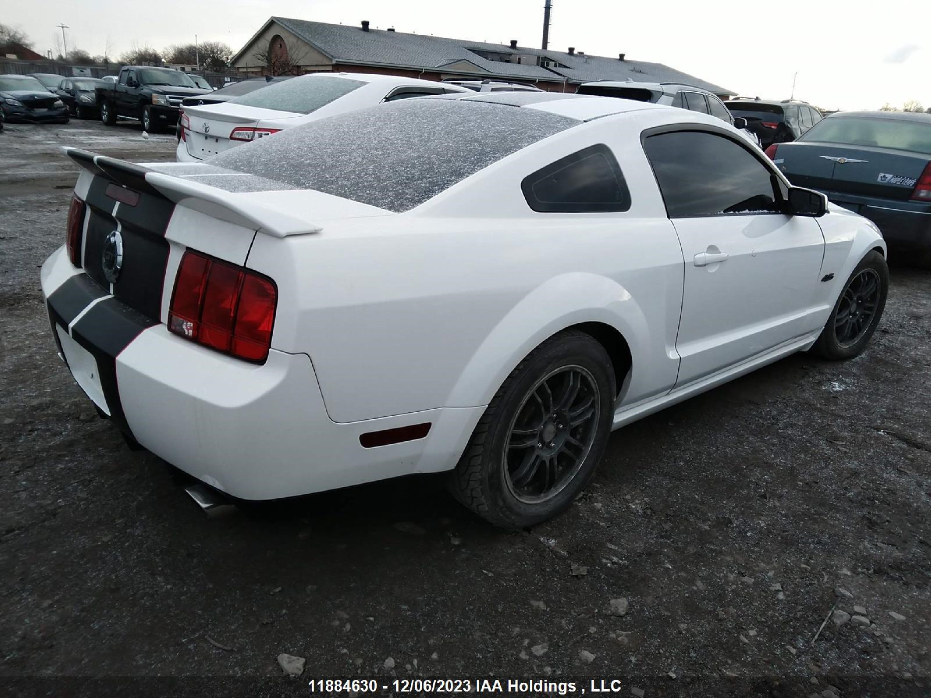 Photo 3 VIN: 1ZVFT82H355160142 - FORD MUSTANG 