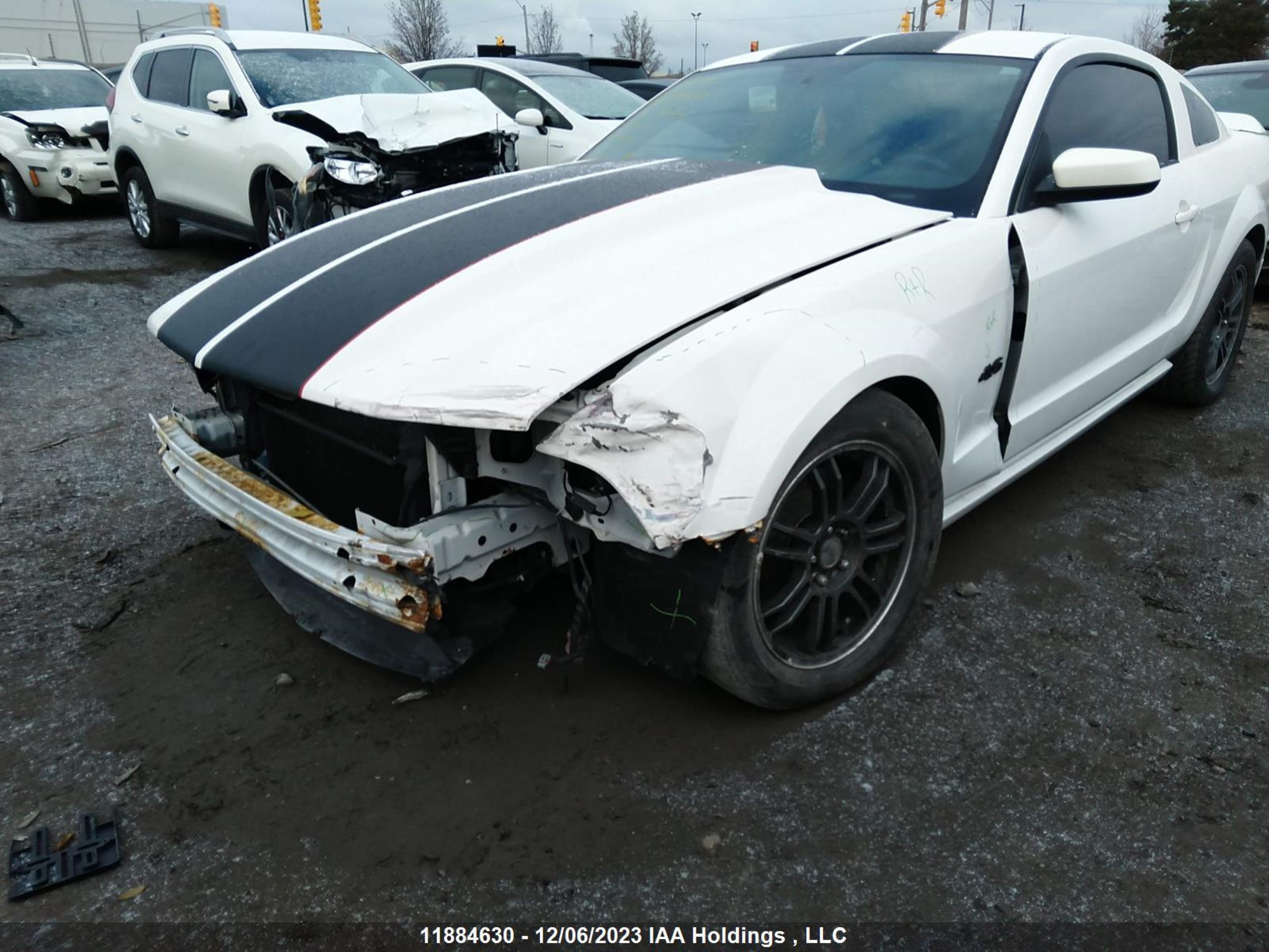 Photo 5 VIN: 1ZVFT82H355160142 - FORD MUSTANG 