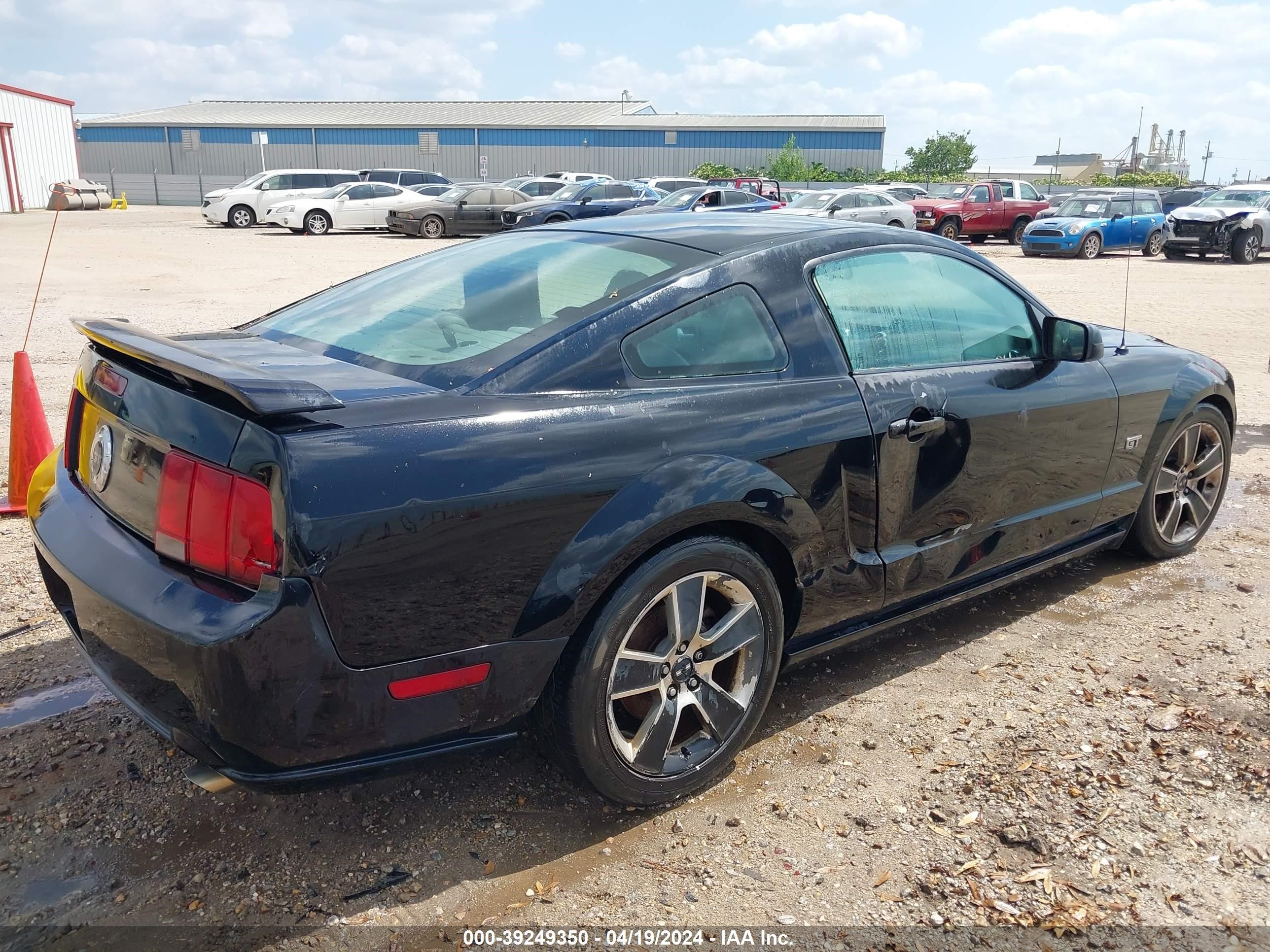 Photo 3 VIN: 1ZVFT82H365193112 - FORD MUSTANG 