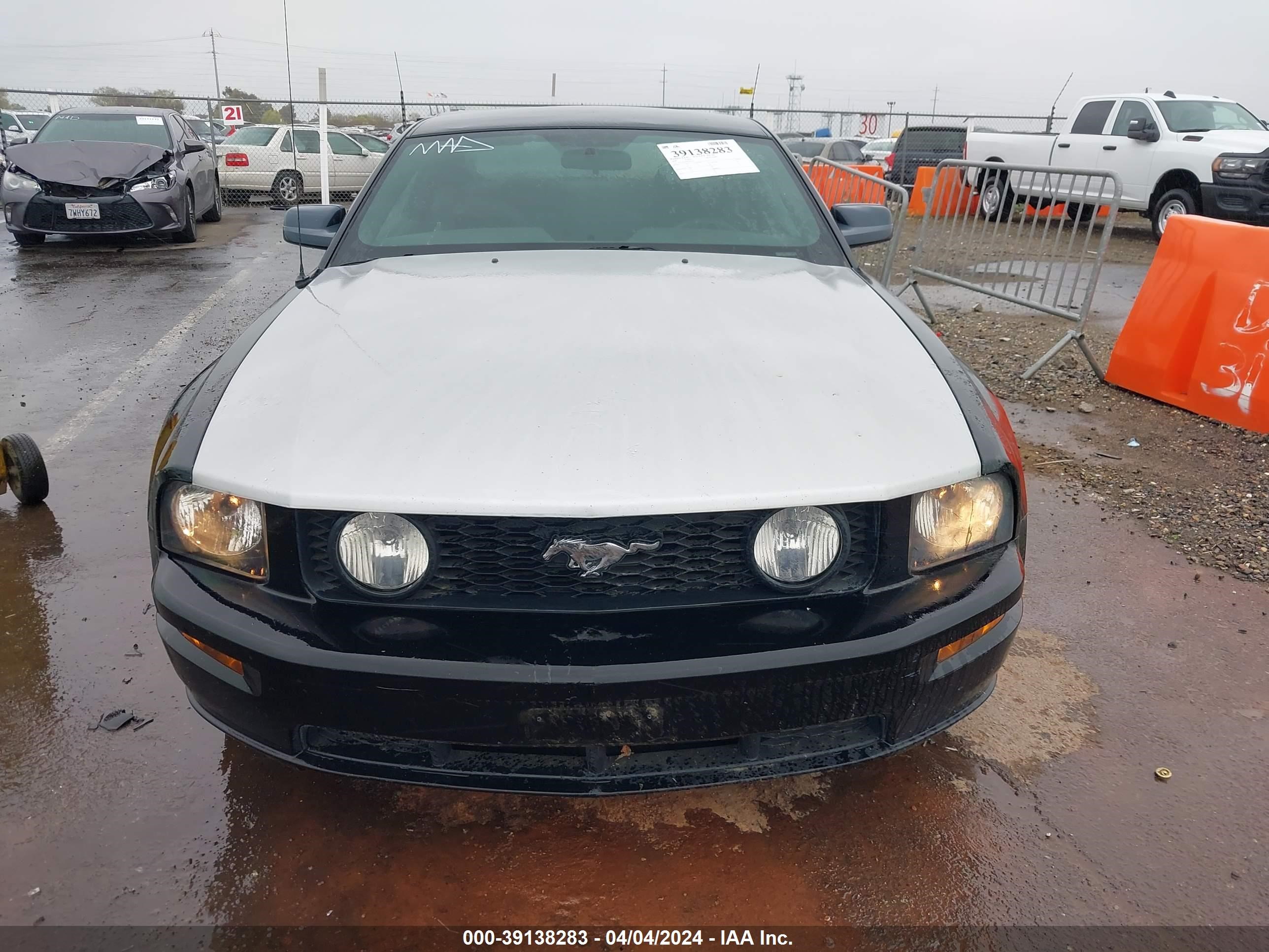 Photo 5 VIN: 1ZVFT82H365262705 - FORD MUSTANG 