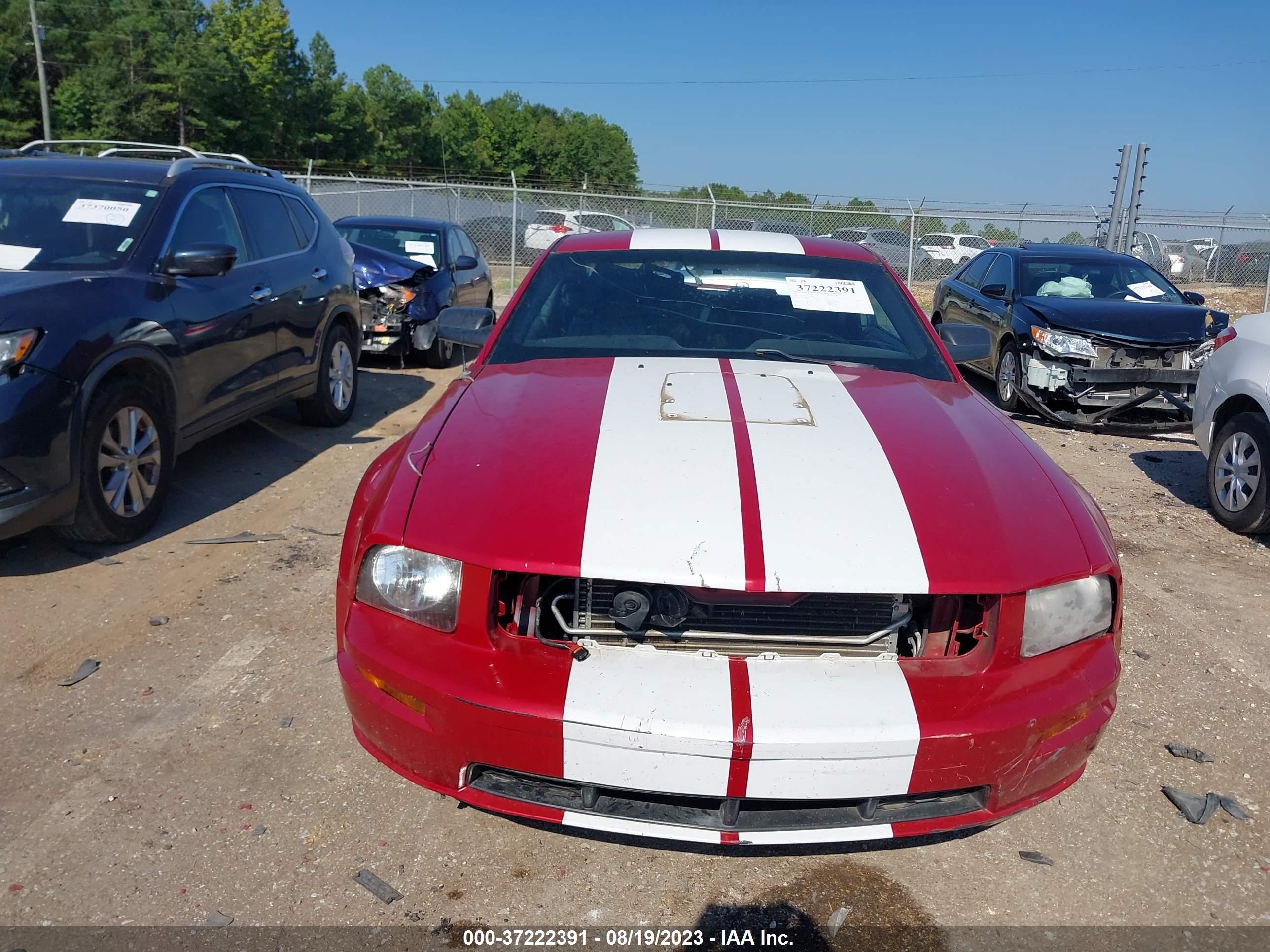 Photo 11 VIN: 1ZVFT82H475279983 - FORD MUSTANG 