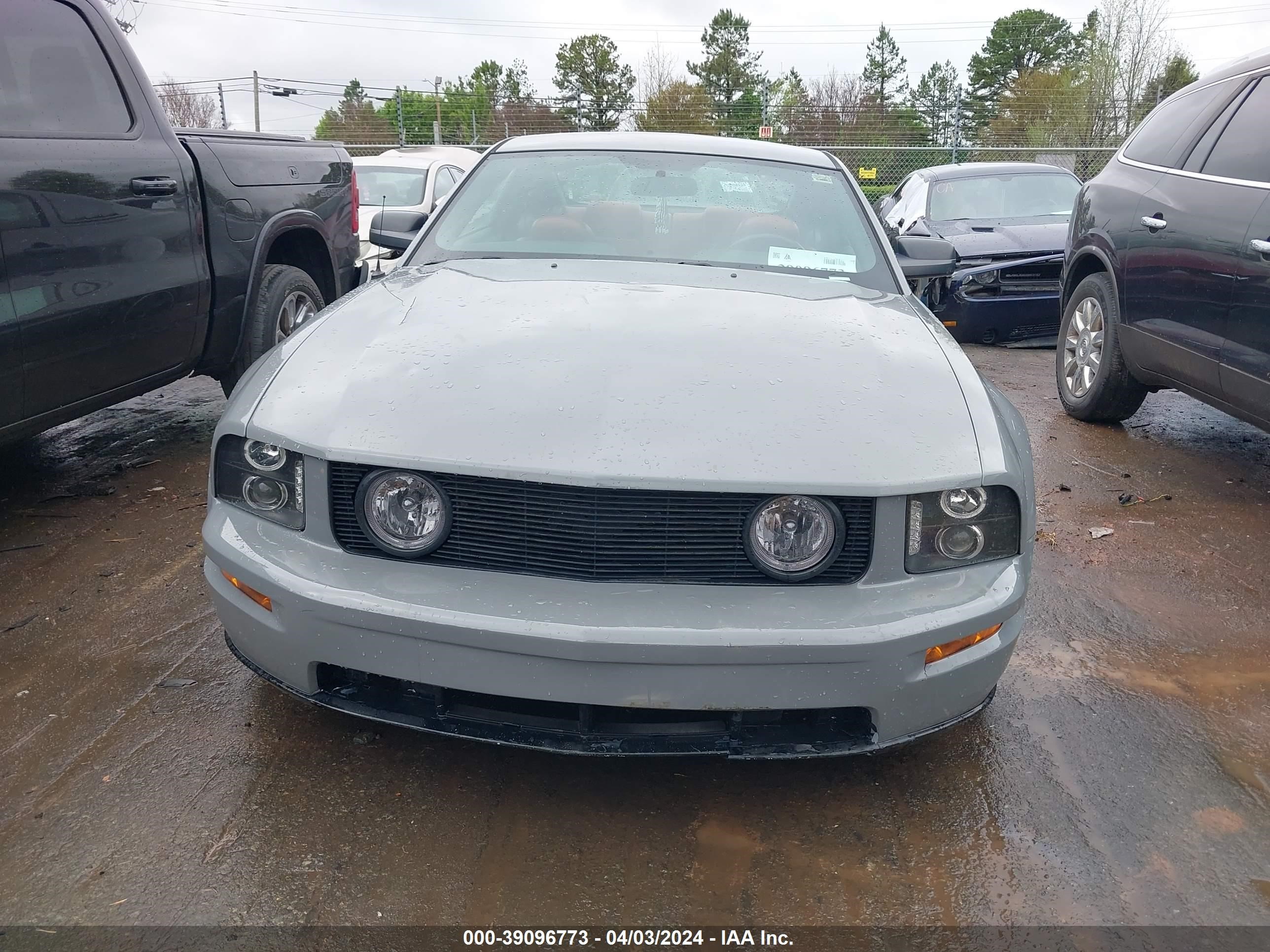 Photo 12 VIN: 1ZVFT82H565105936 - FORD MUSTANG 