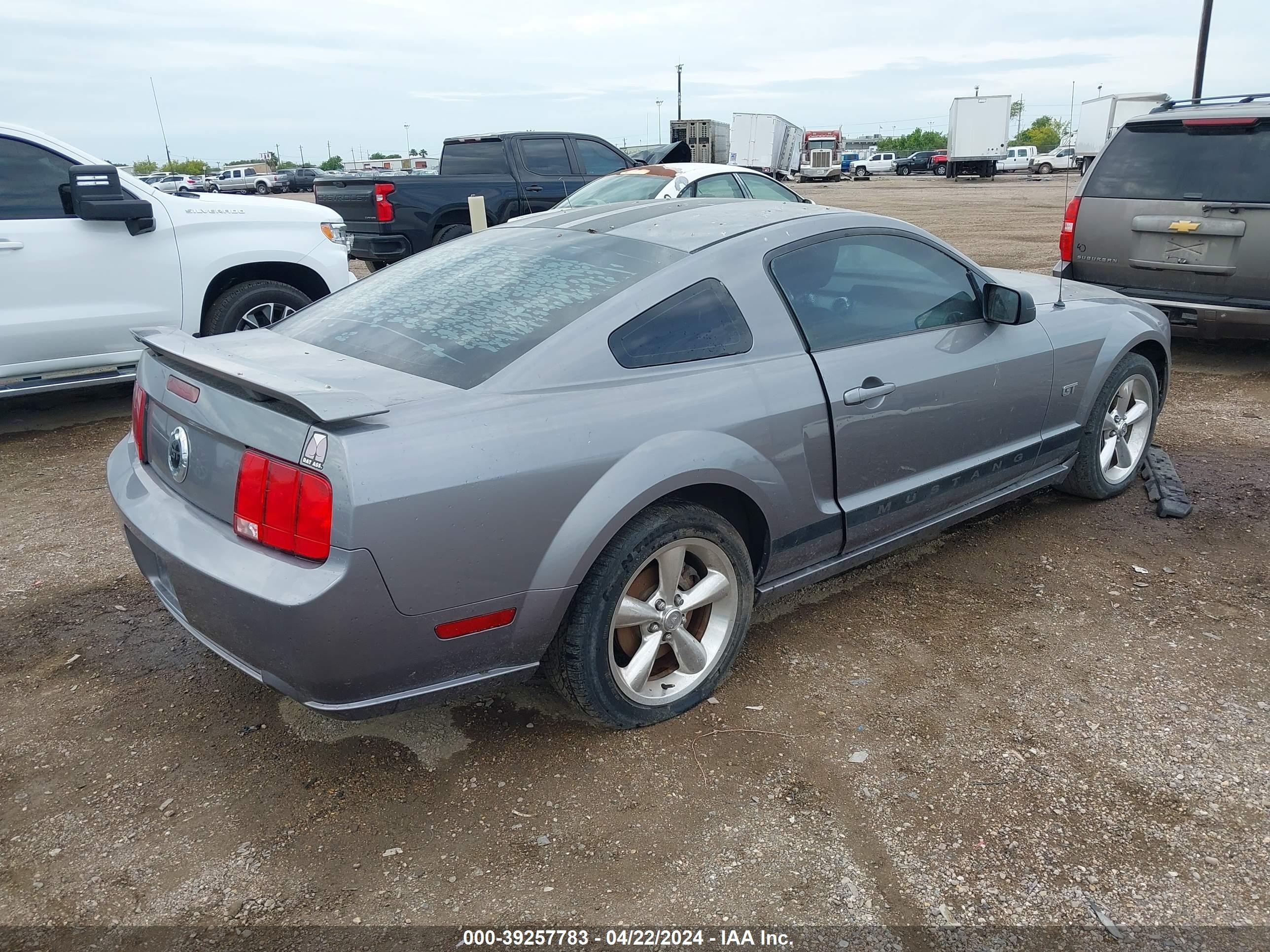 Photo 3 VIN: 1ZVFT82H565162914 - FORD MUSTANG 