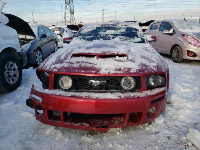 Photo 4 VIN: 1ZVFT82H565185979 - FORD MUSTANG 