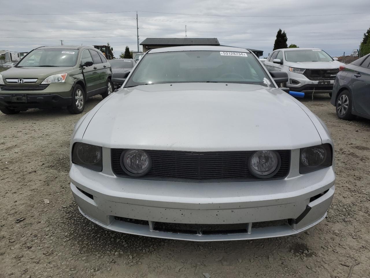 Photo 4 VIN: 1ZVFT82H655115891 - FORD MUSTANG 