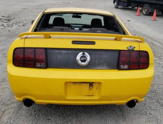 Photo 5 VIN: 1ZVFT82H665204555 - FORD MUSTANG GT 