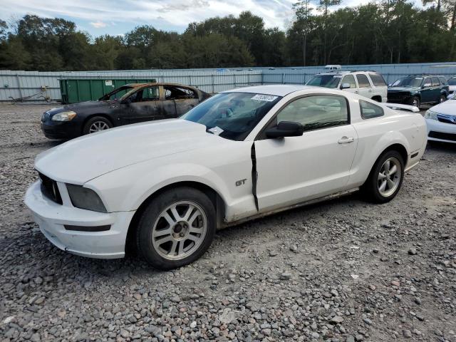 Photo 0 VIN: 1ZVFT82H665205057 - FORD MUSTANG 