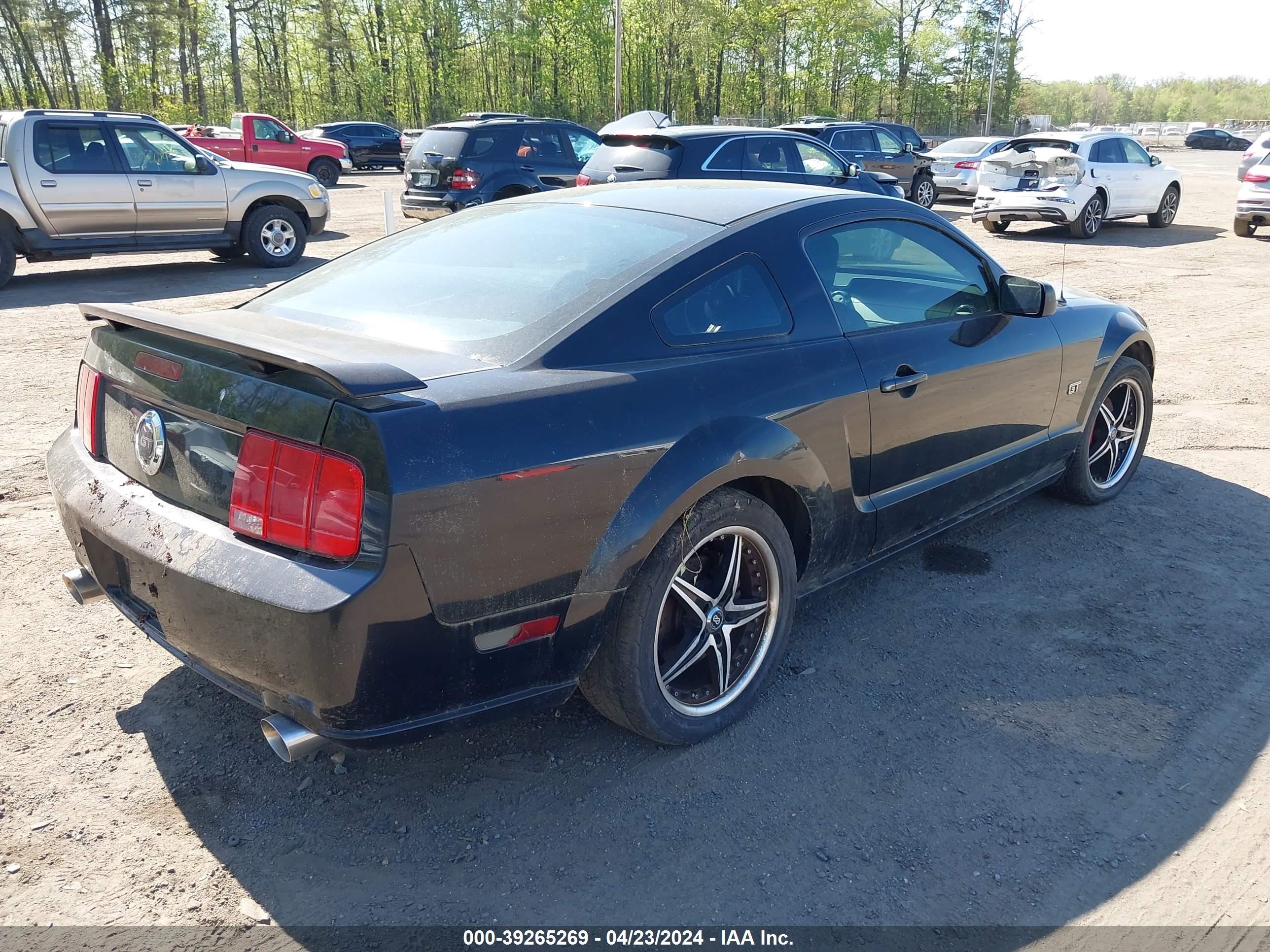 Photo 3 VIN: 1ZVFT82H755103670 - FORD MUSTANG 