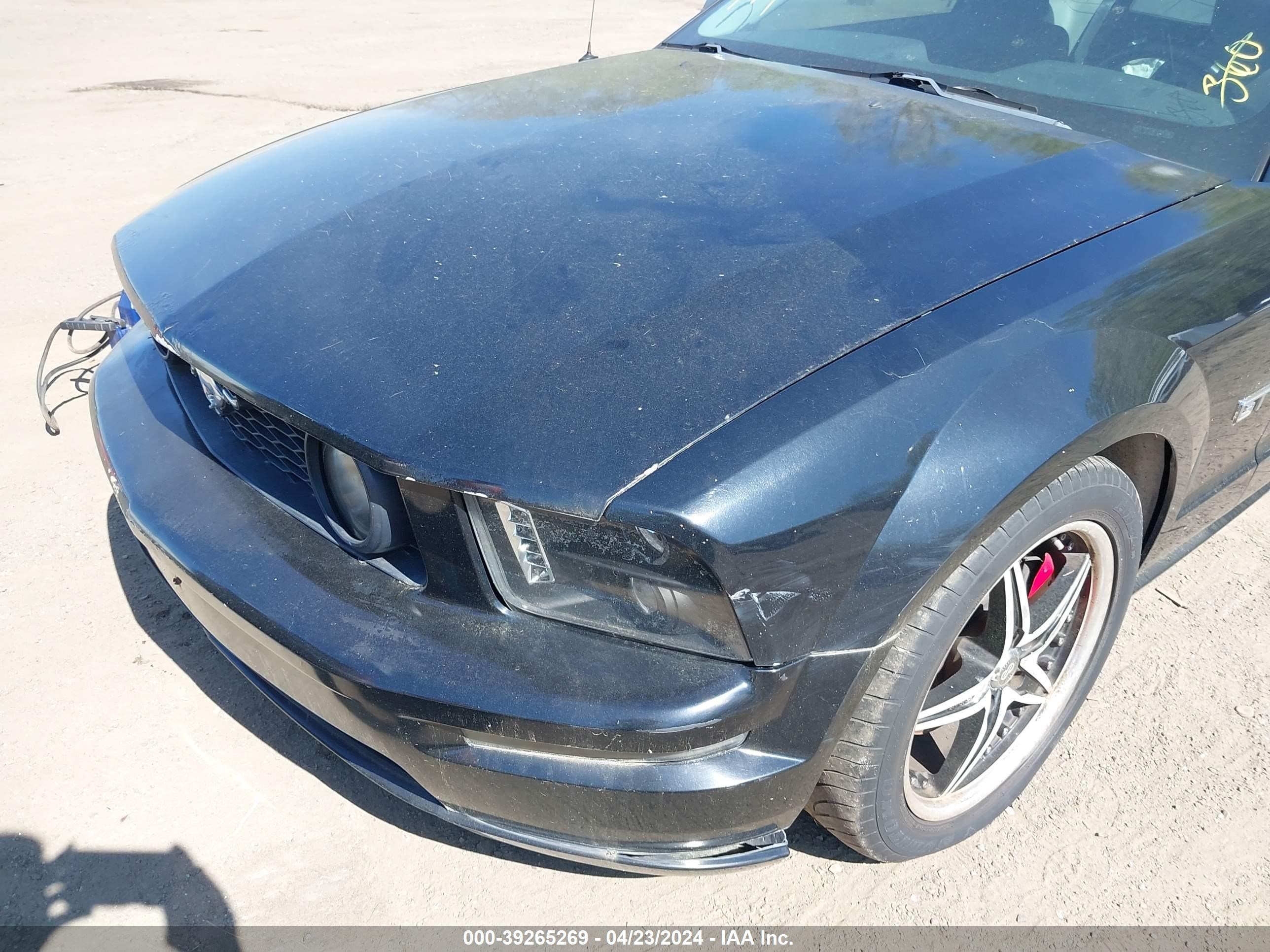 Photo 5 VIN: 1ZVFT82H755103670 - FORD MUSTANG 