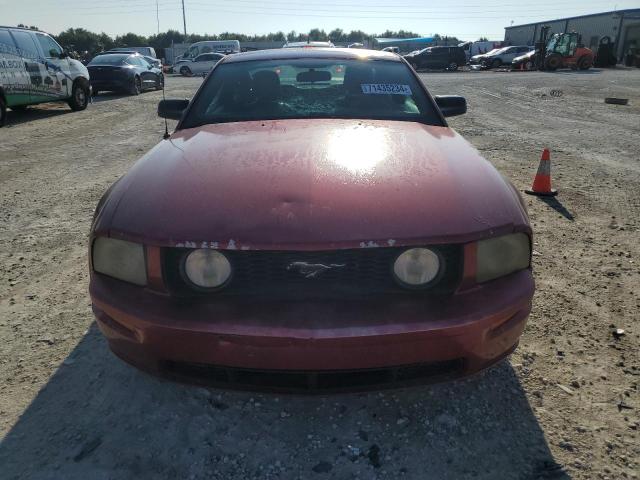 Photo 4 VIN: 1ZVFT82H865247648 - FORD MUSTANG GT 