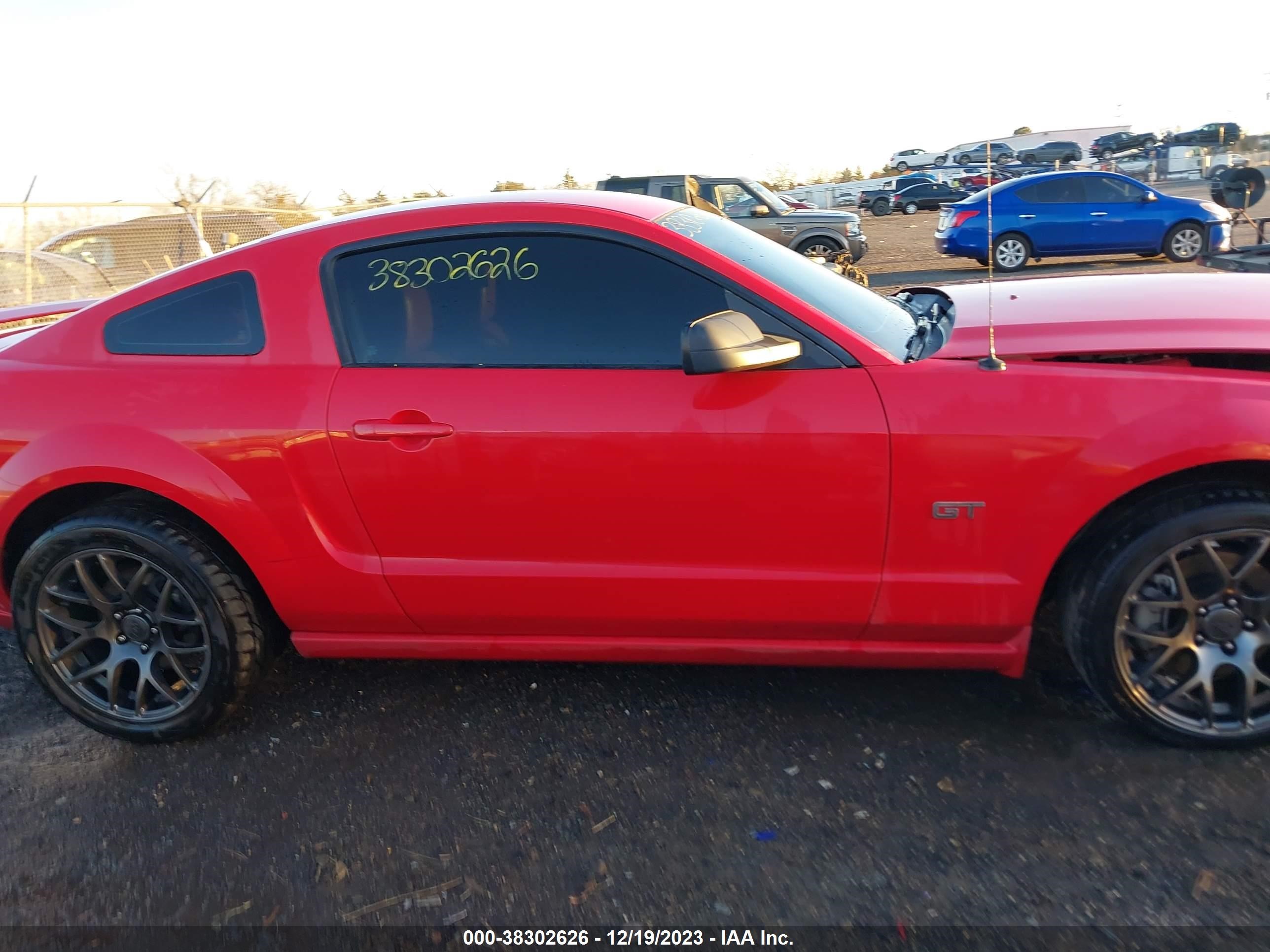 Photo 12 VIN: 1ZVFT82H955102259 - FORD MUSTANG 