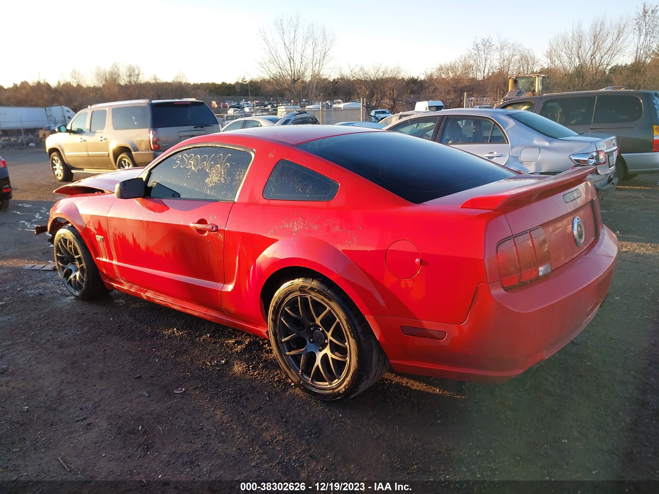 Photo 2 VIN: 1ZVFT82H955102259 - FORD MUSTANG 