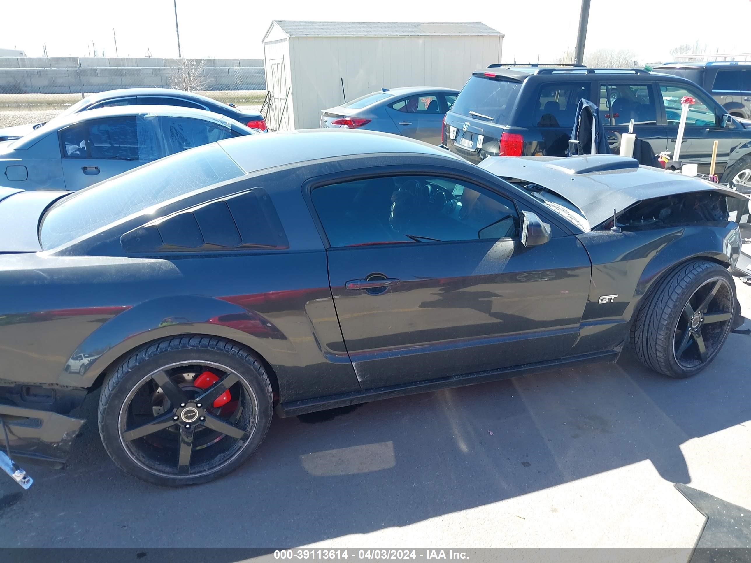 Photo 12 VIN: 1ZVFT82H975346481 - FORD MUSTANG 