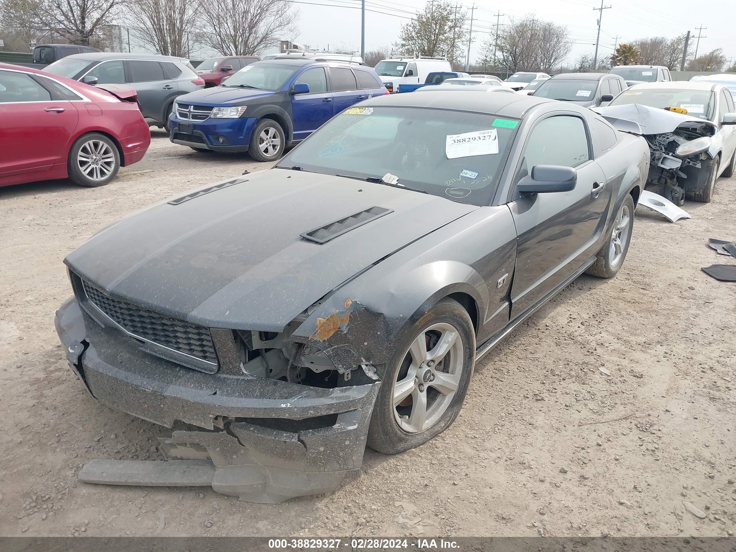 Photo 1 VIN: 1ZVFT82HX75213583 - FORD MUSTANG 