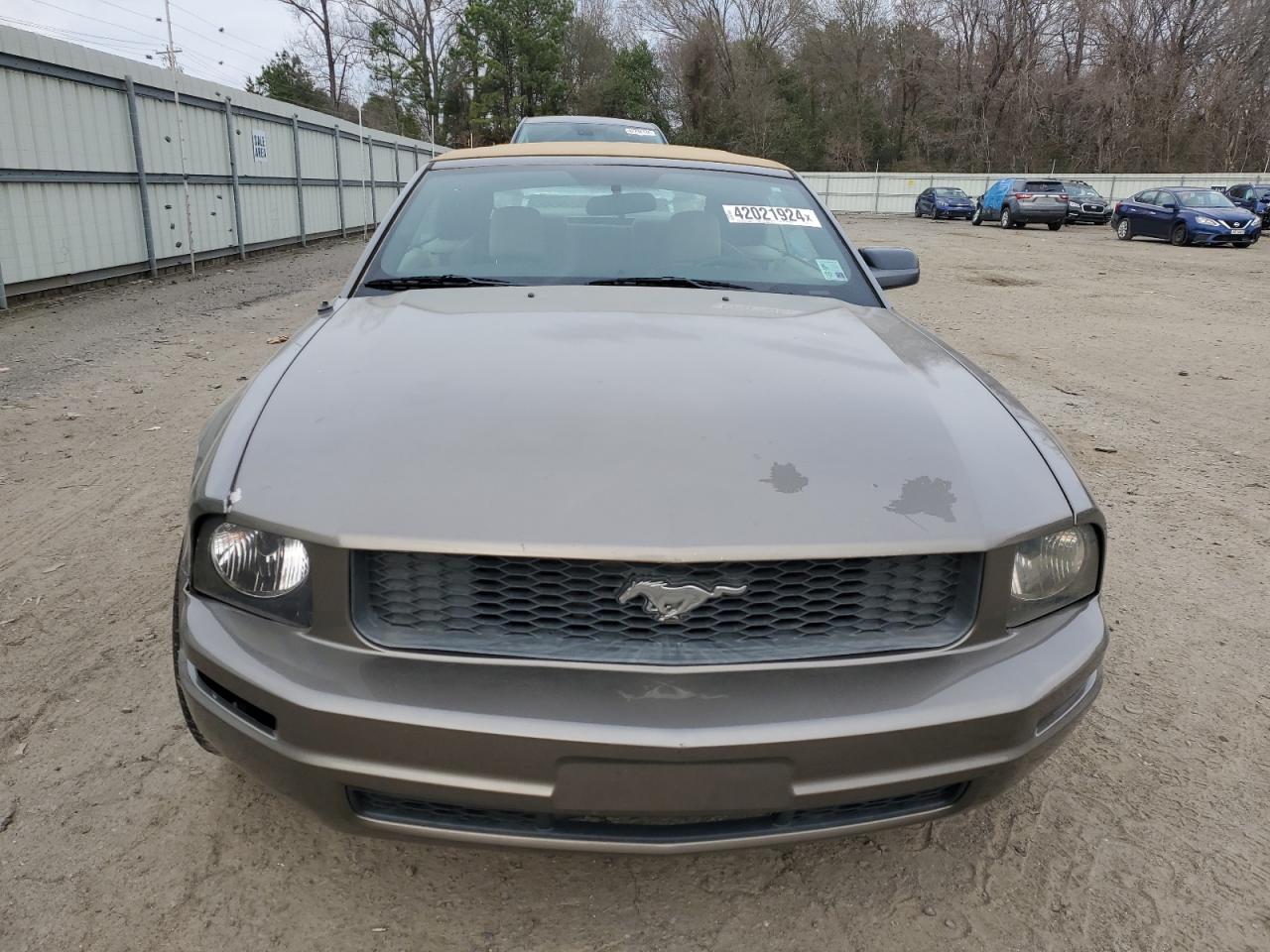 Photo 4 VIN: 1ZVFT84N055208814 - FORD MUSTANG 