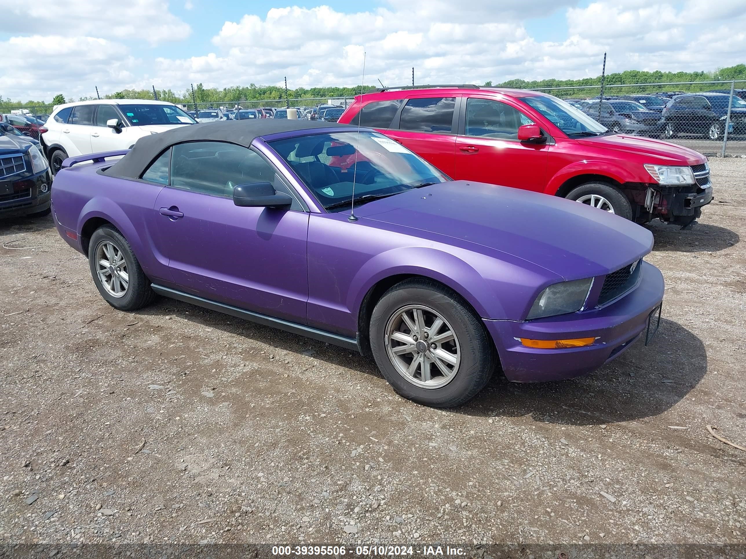 Photo 0 VIN: 1ZVFT84N055216394 - FORD MUSTANG 