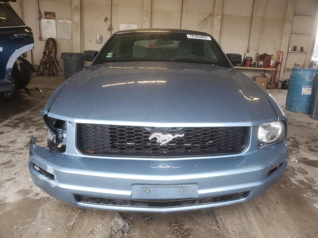 Photo 4 VIN: 1ZVFT84N065114241 - FORD MUSTANG 