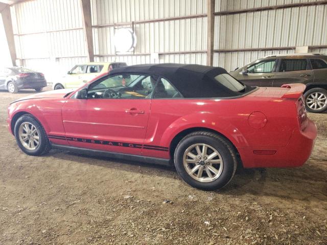 Photo 1 VIN: 1ZVFT84N065151435 - FORD MUSTANG 