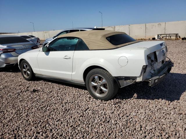 Photo 1 VIN: 1ZVFT84N065161950 - FORD MUSTANG 