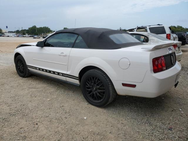 Photo 1 VIN: 1ZVFT84N075339535 - FORD MUSTANG 