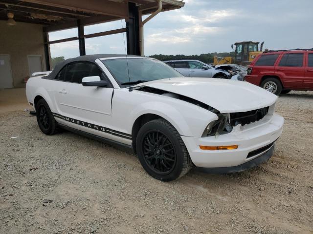 Photo 3 VIN: 1ZVFT84N075339535 - FORD MUSTANG 