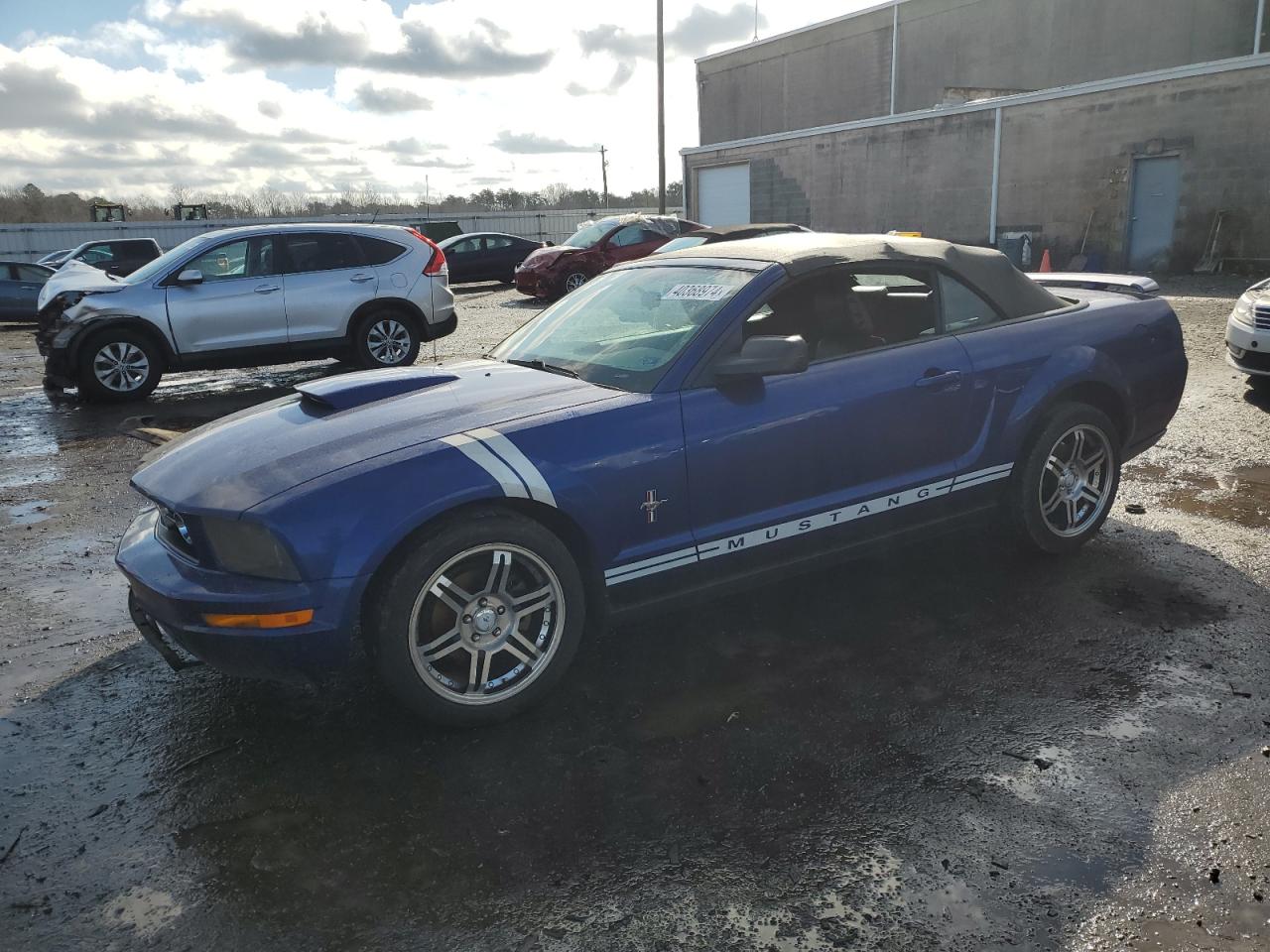 Photo 0 VIN: 1ZVFT84N155243460 - FORD MUSTANG 