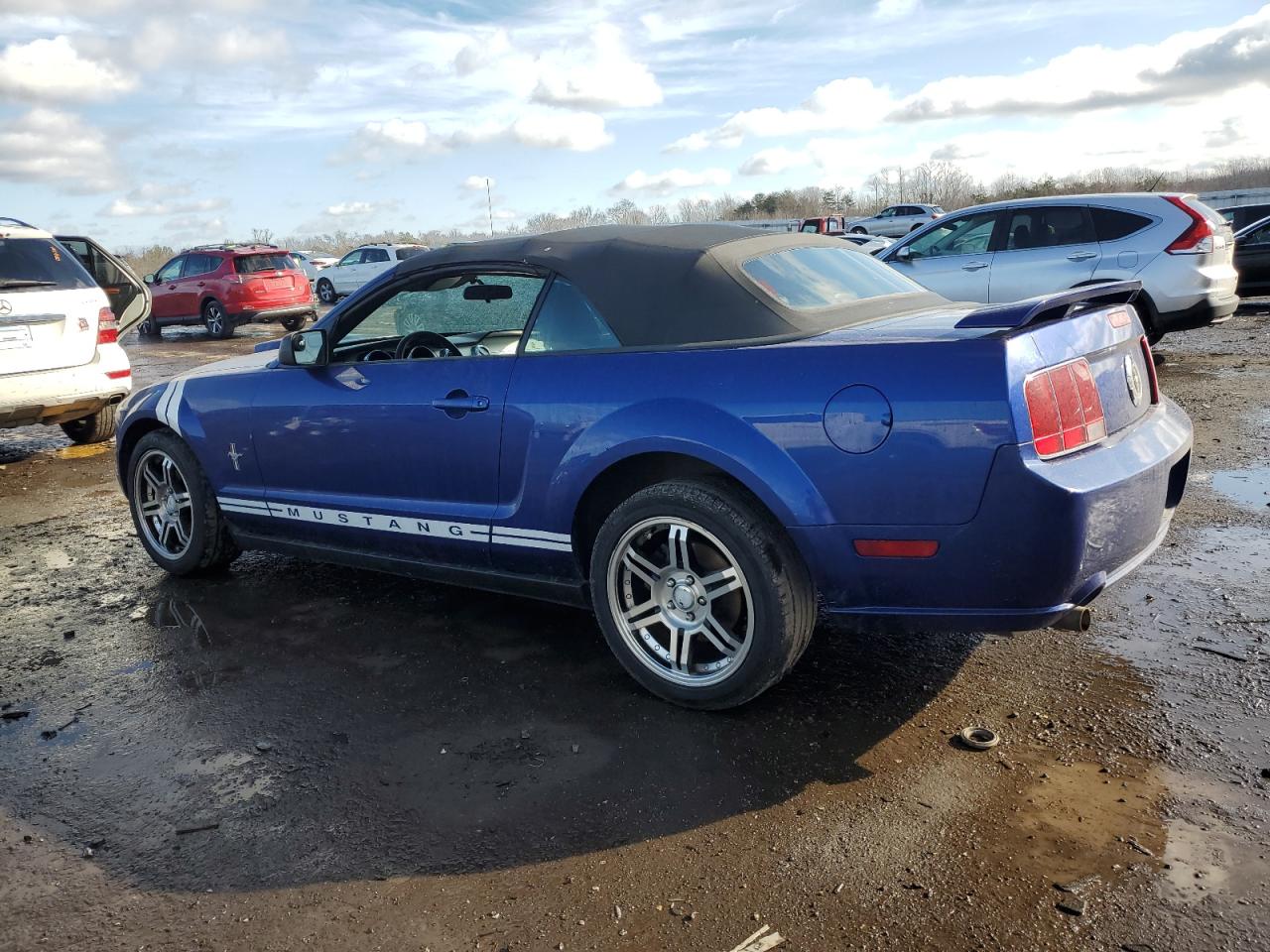 Photo 1 VIN: 1ZVFT84N155243460 - FORD MUSTANG 