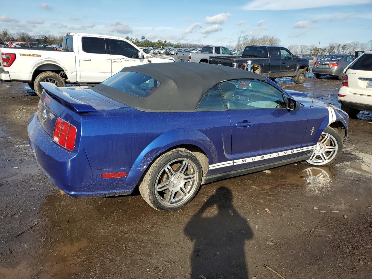 Photo 2 VIN: 1ZVFT84N155243460 - FORD MUSTANG 