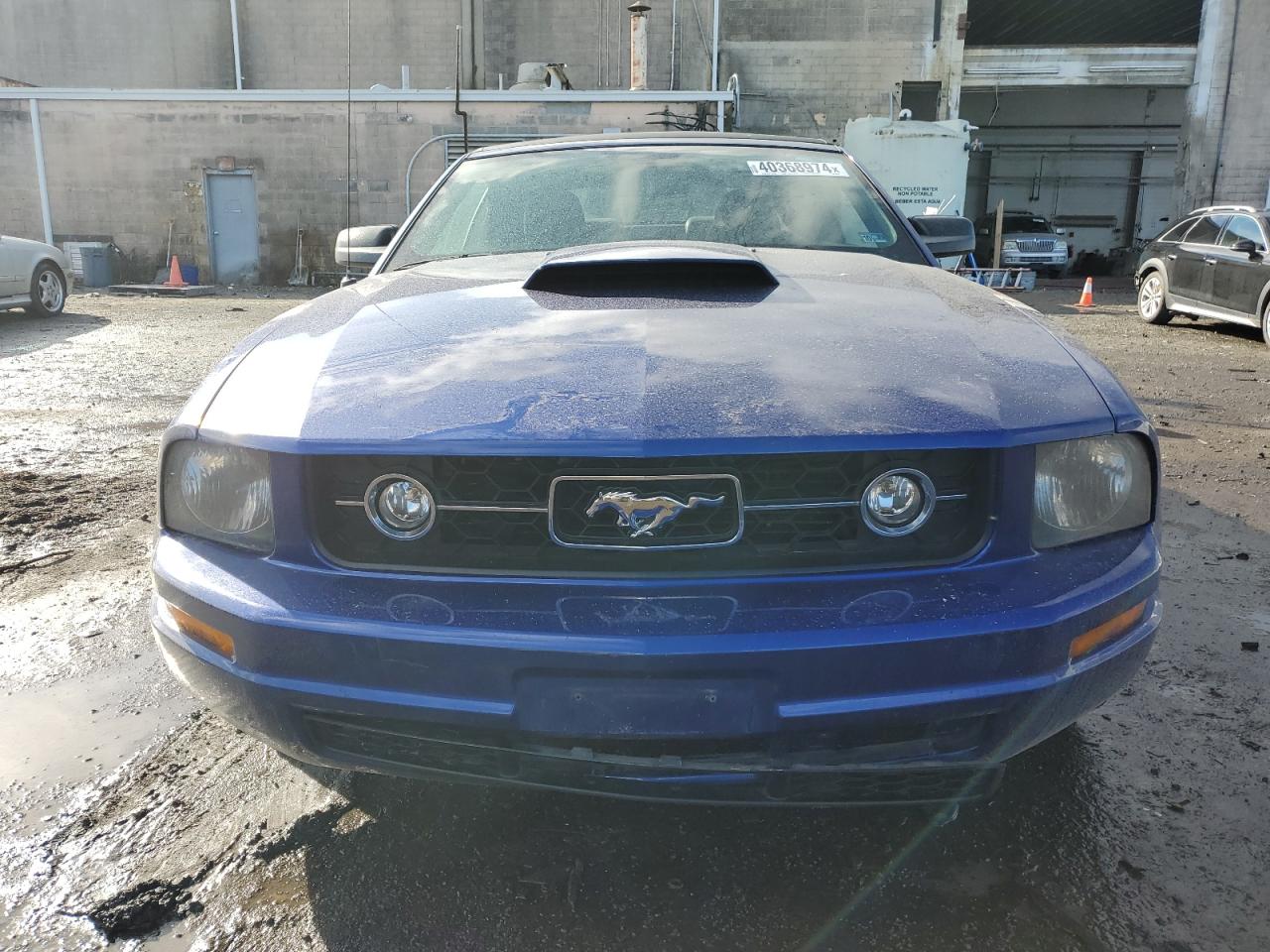 Photo 4 VIN: 1ZVFT84N155243460 - FORD MUSTANG 