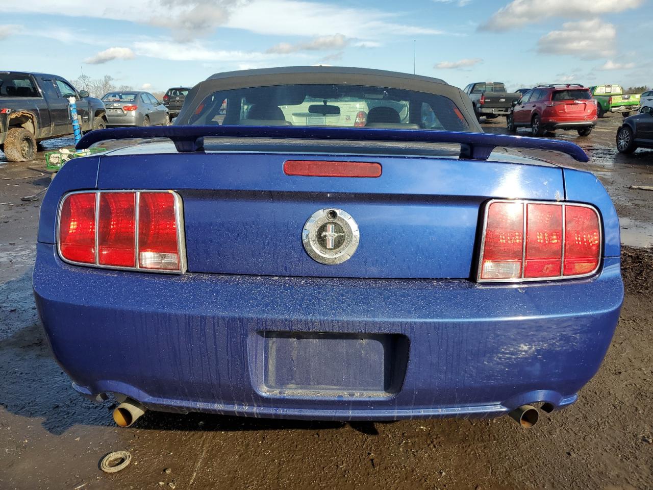 Photo 5 VIN: 1ZVFT84N155243460 - FORD MUSTANG 