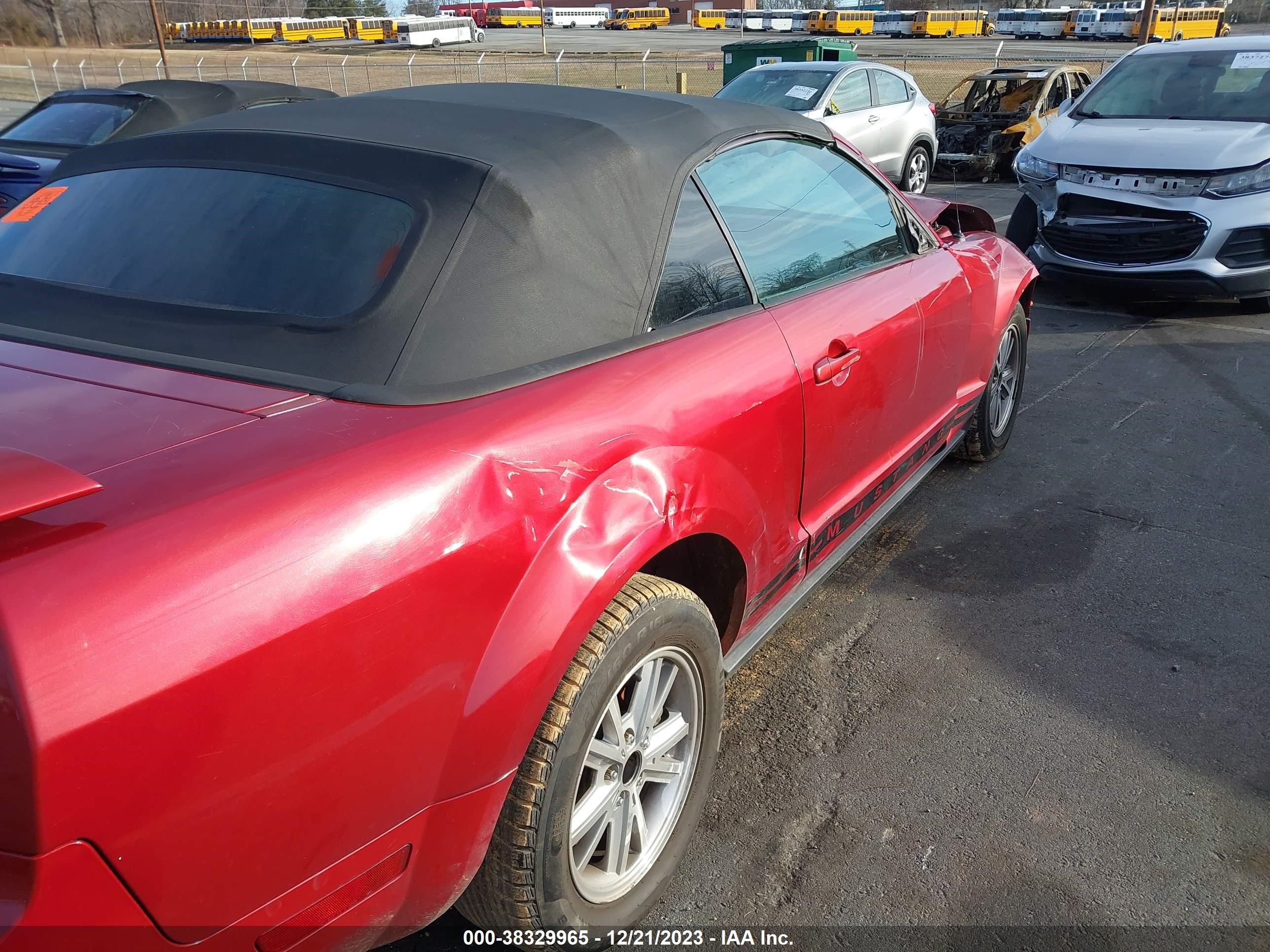 Photo 11 VIN: 1ZVFT84N155244012 - FORD MUSTANG 