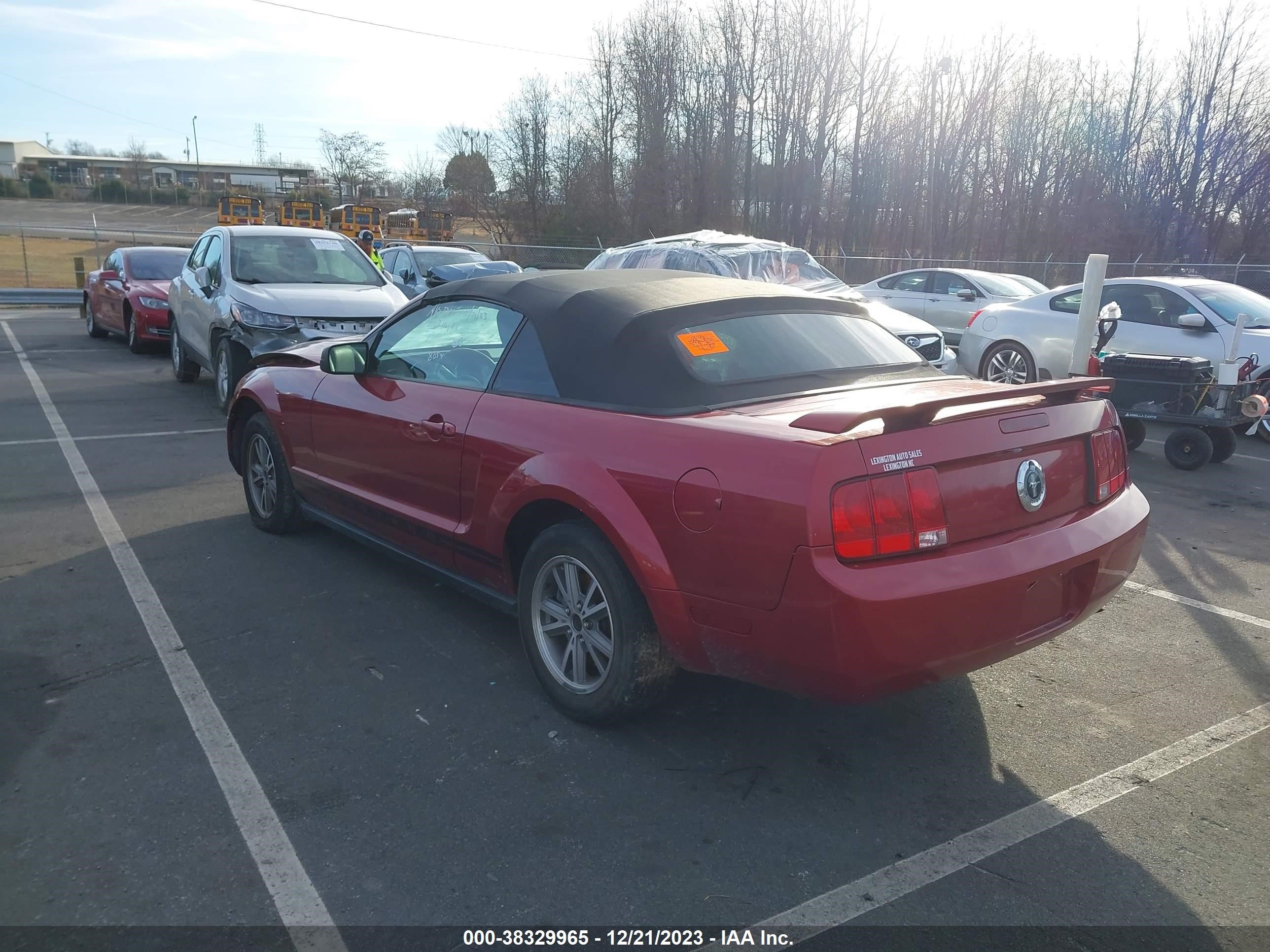 Photo 2 VIN: 1ZVFT84N155244012 - FORD MUSTANG 