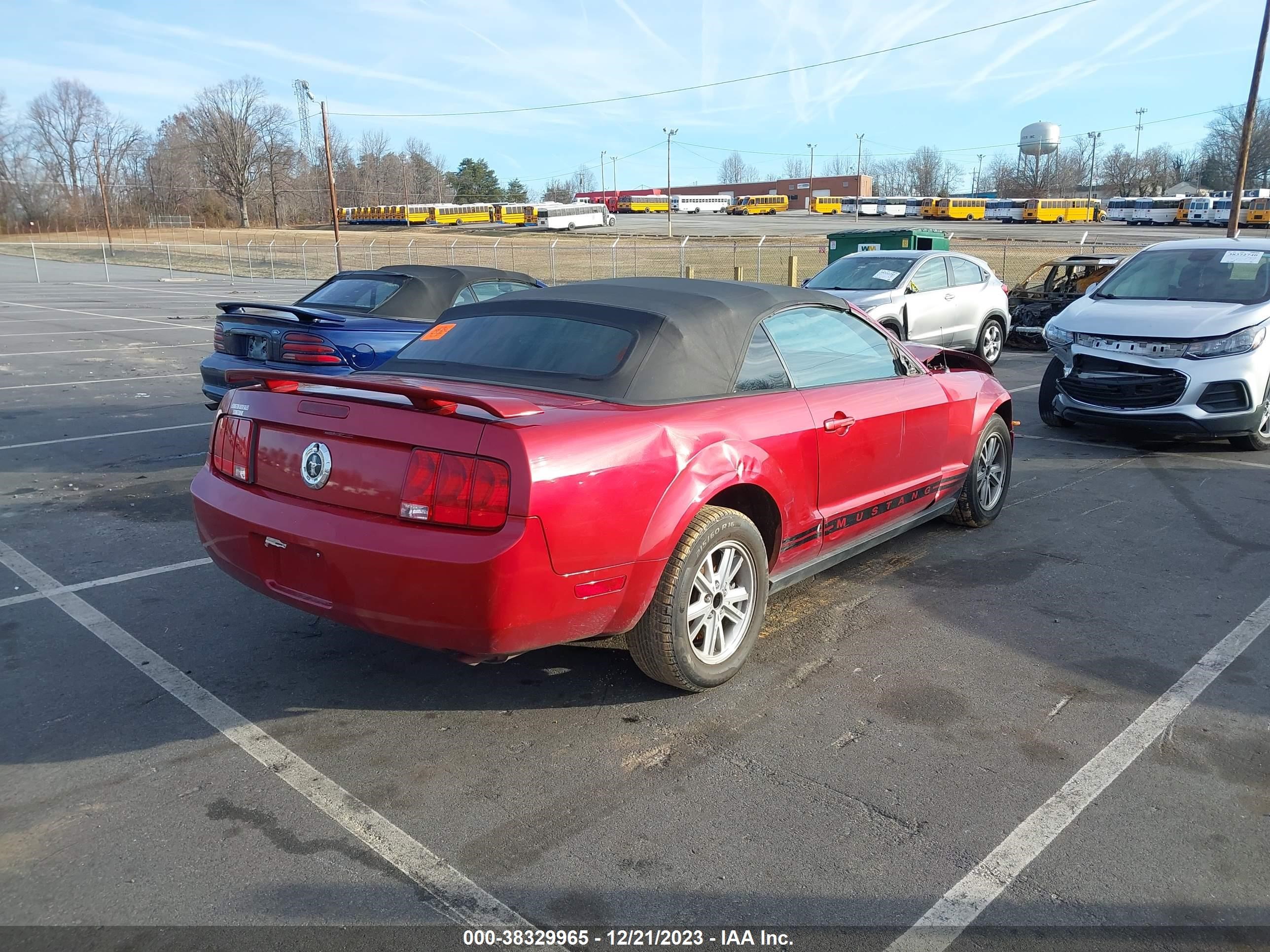 Photo 3 VIN: 1ZVFT84N155244012 - FORD MUSTANG 