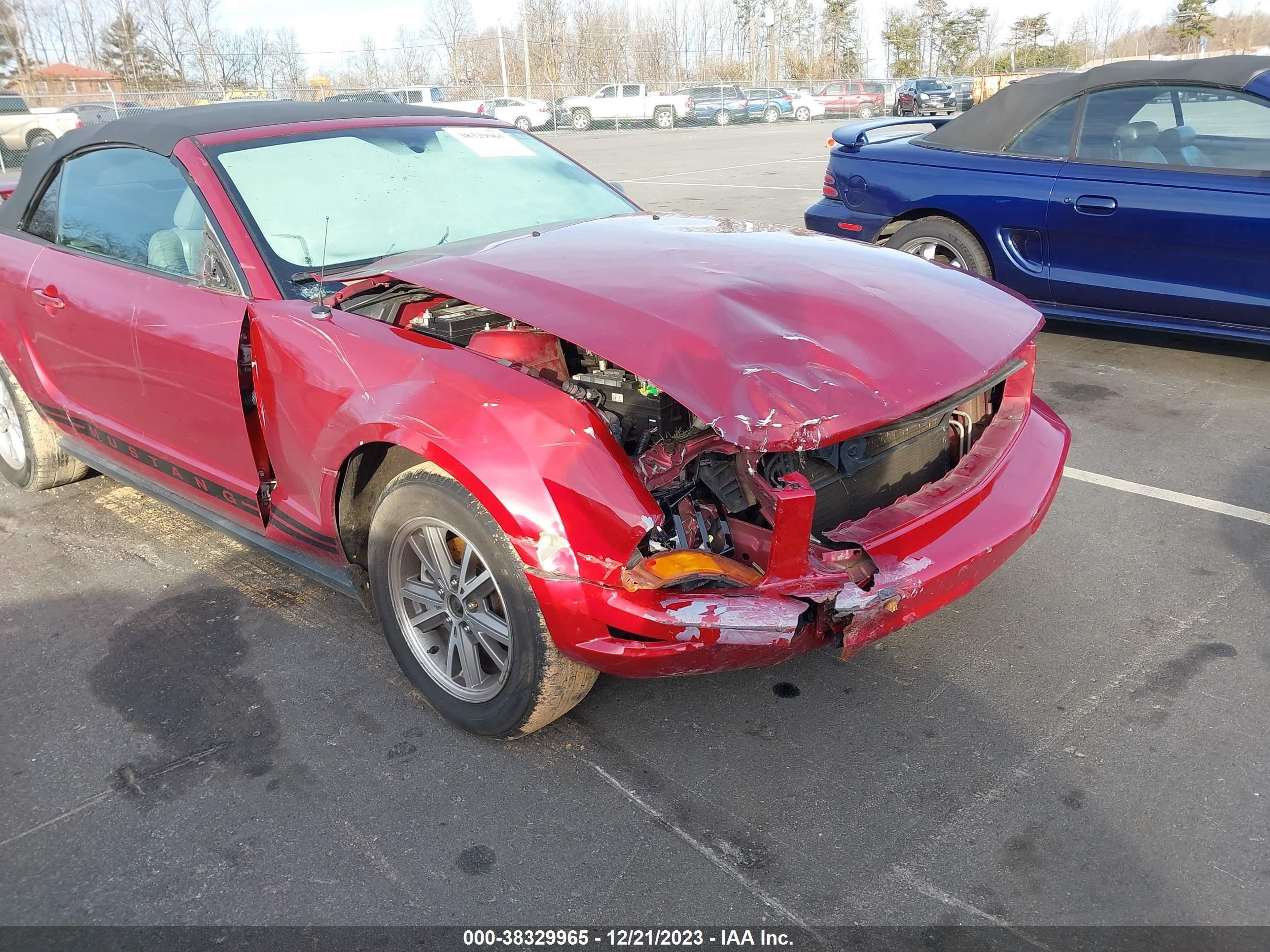 Photo 5 VIN: 1ZVFT84N155244012 - FORD MUSTANG 