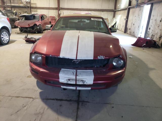 Photo 4 VIN: 1ZVFT84N165101689 - FORD MUSTANG 