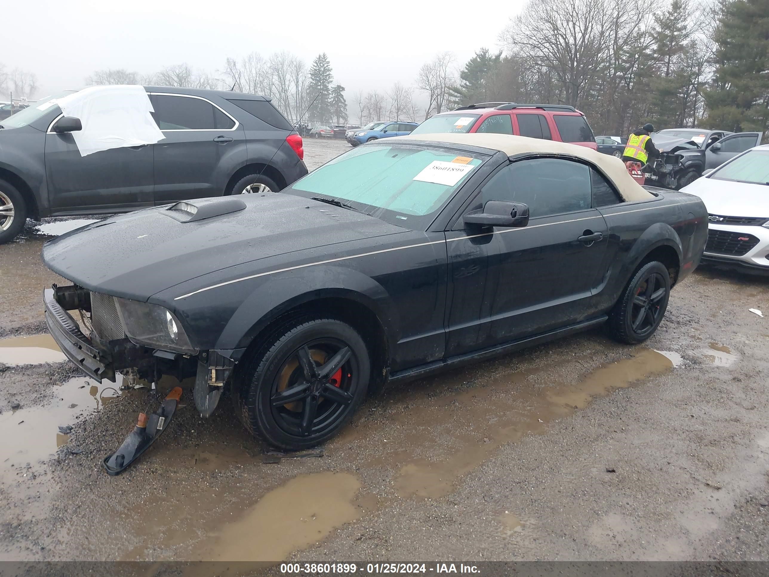 Photo 1 VIN: 1ZVFT84N165106522 - FORD MUSTANG 