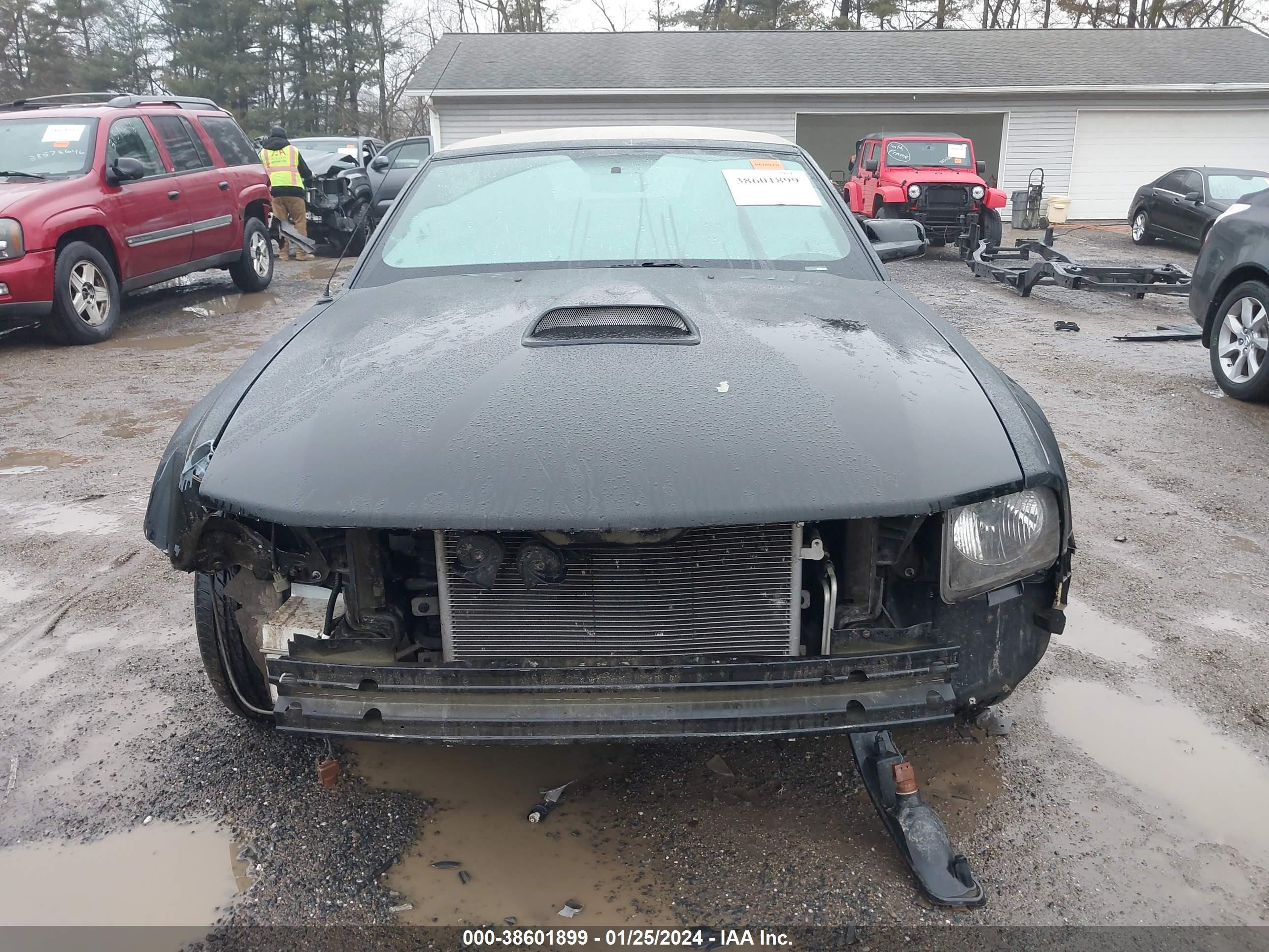 Photo 11 VIN: 1ZVFT84N165106522 - FORD MUSTANG 