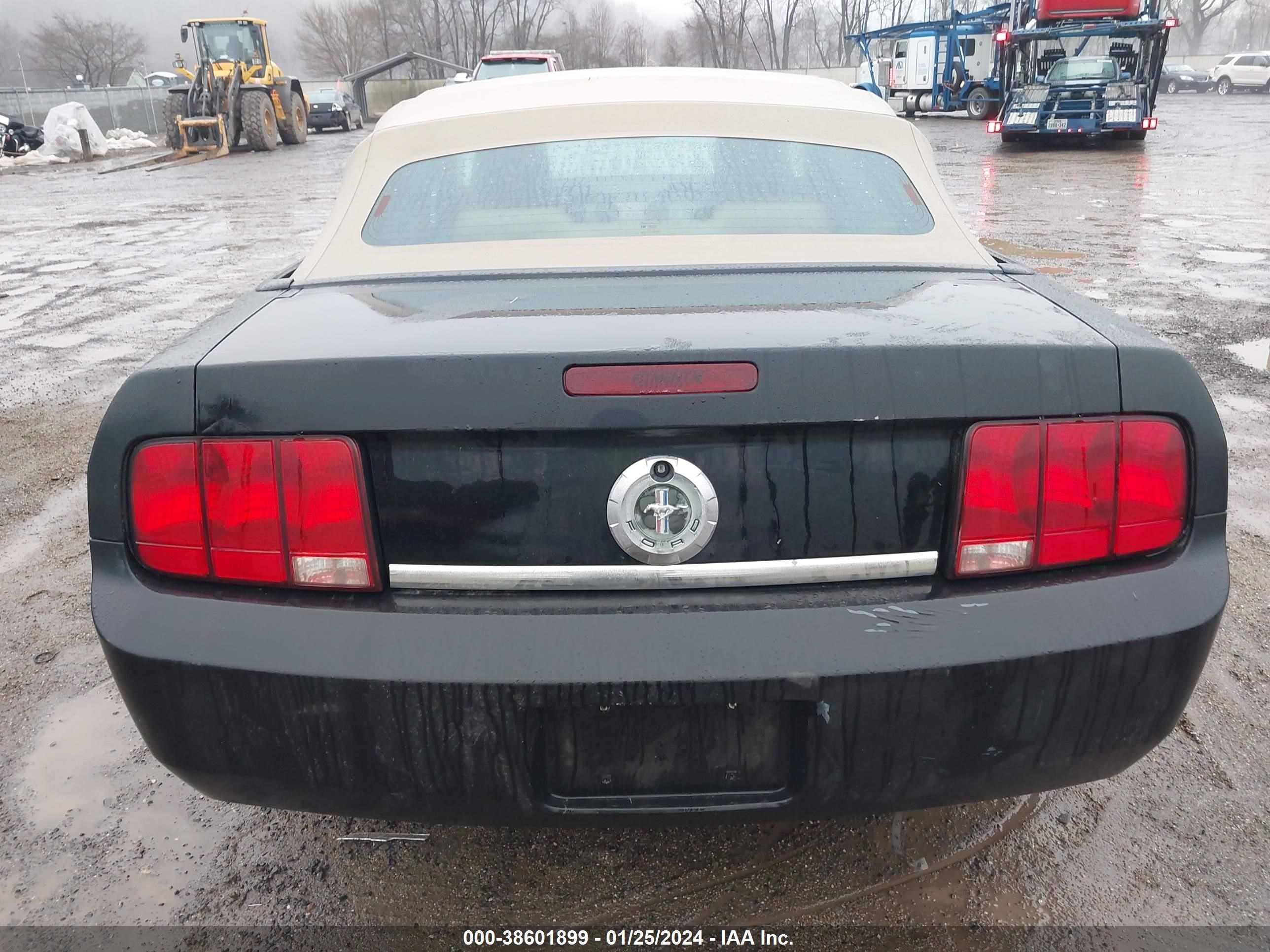 Photo 15 VIN: 1ZVFT84N165106522 - FORD MUSTANG 