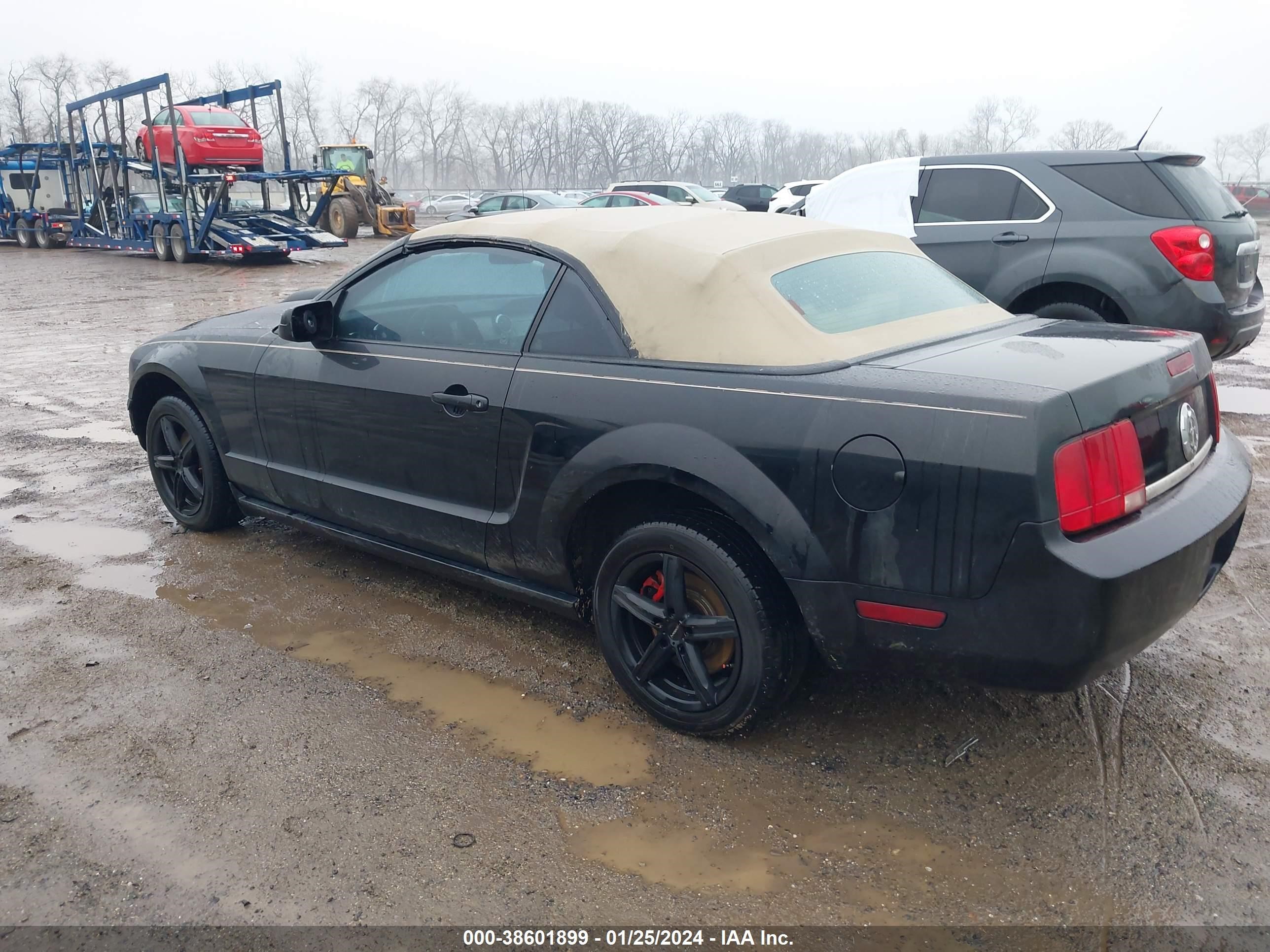 Photo 2 VIN: 1ZVFT84N165106522 - FORD MUSTANG 