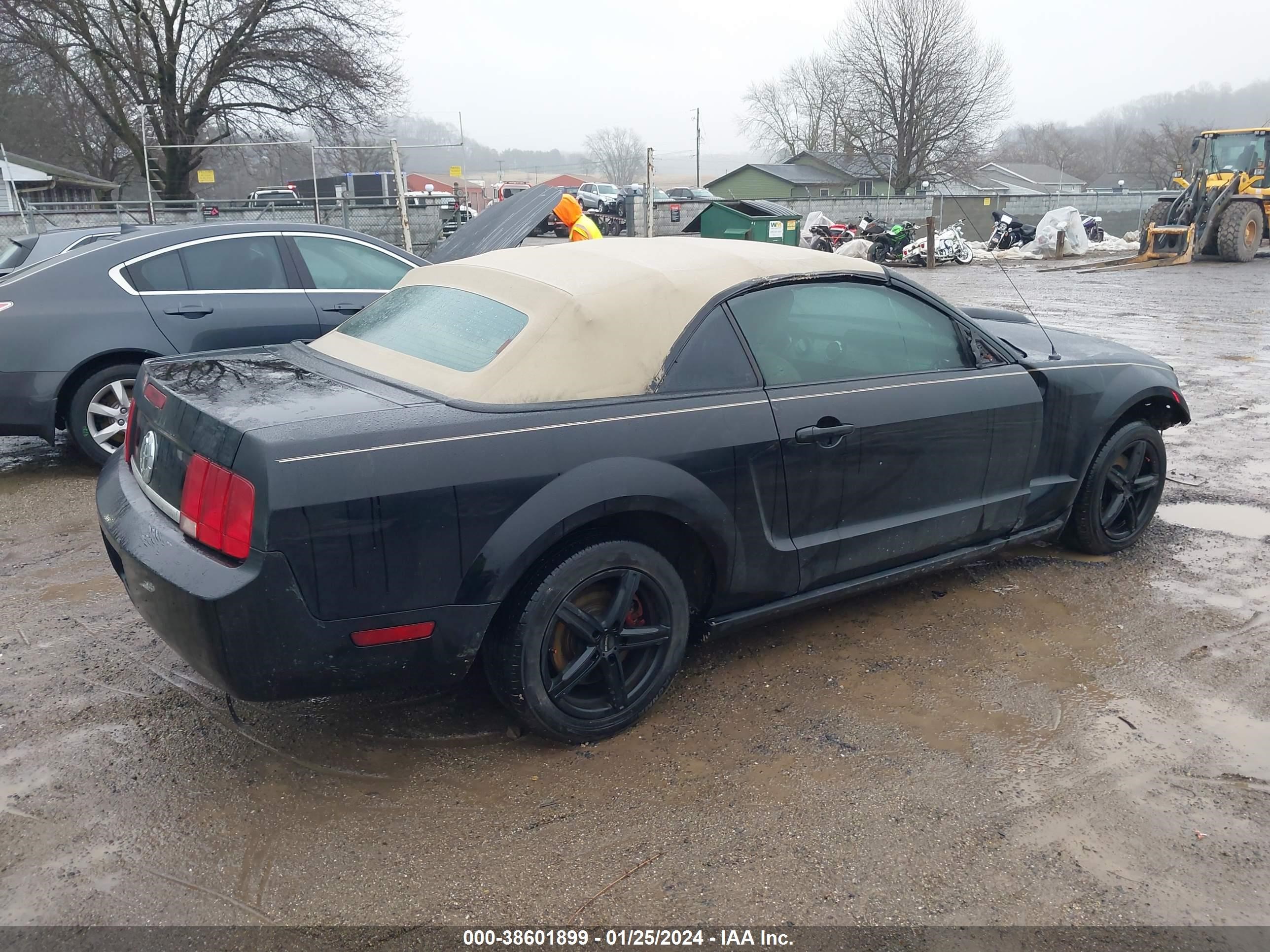 Photo 3 VIN: 1ZVFT84N165106522 - FORD MUSTANG 