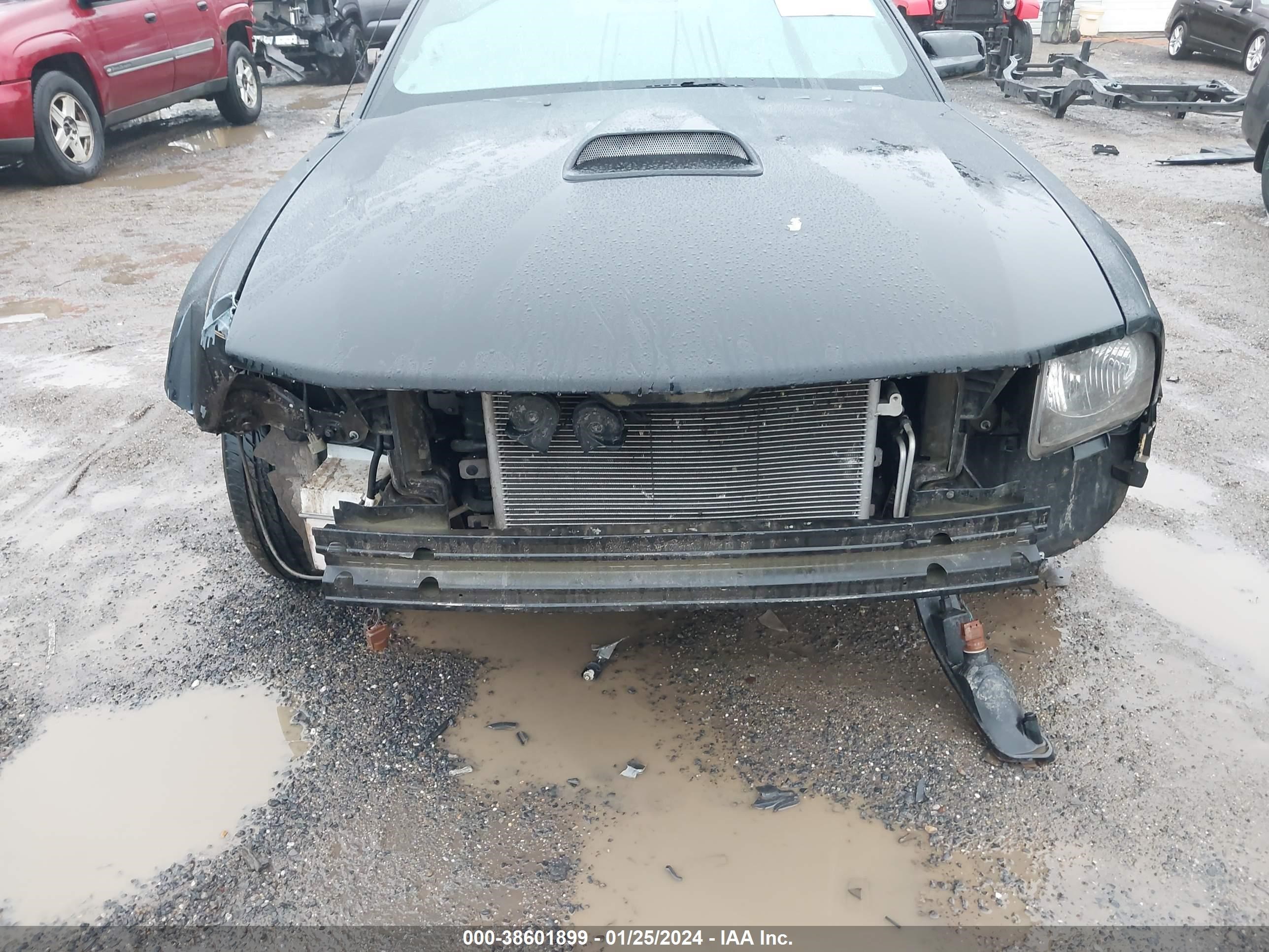 Photo 5 VIN: 1ZVFT84N165106522 - FORD MUSTANG 