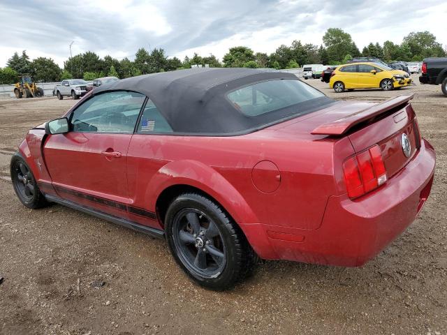 Photo 1 VIN: 1ZVFT84N165120601 - FORD MUSTANG 