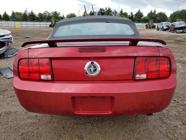 Photo 5 VIN: 1ZVFT84N165120601 - FORD MUSTANG 