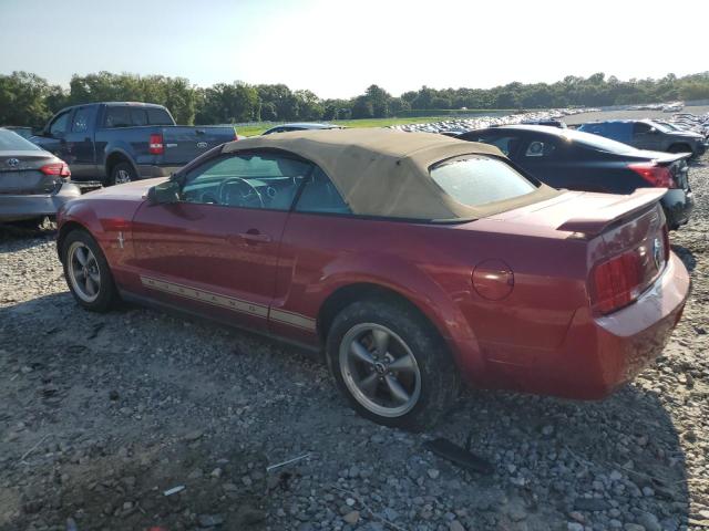 Photo 1 VIN: 1ZVFT84N165178952 - FORD MUSTANG 